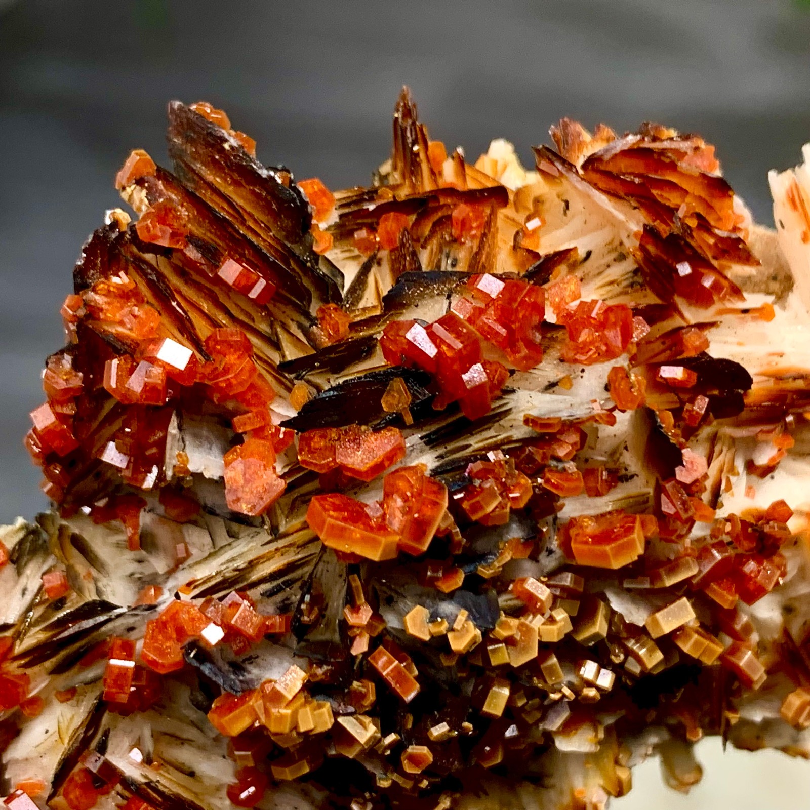 256G Natural Beautiful Vanadinite Atone Cluster Quartz Crystal Sample/Morocco