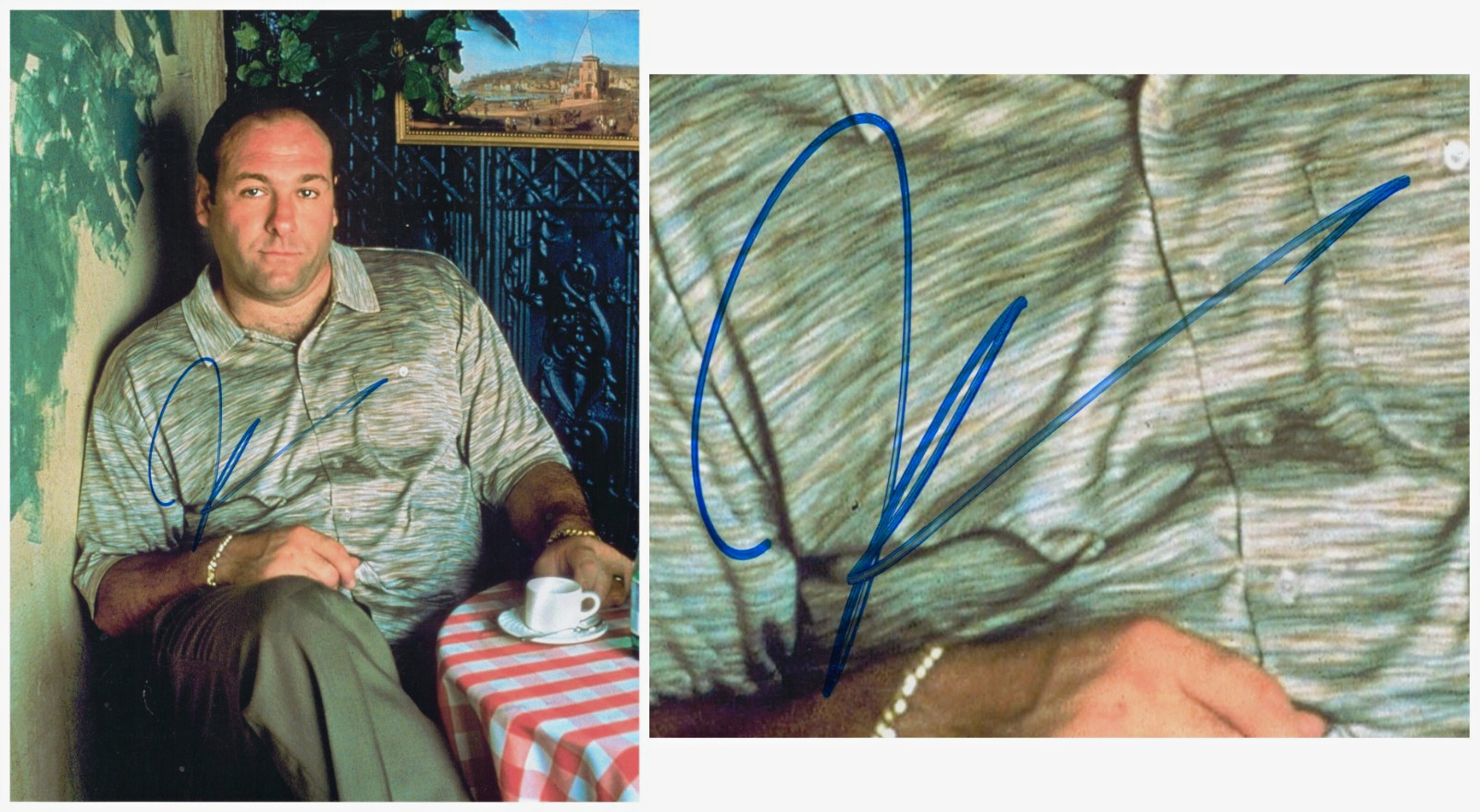 James Gandolfini Signed 8x10 Glossy \