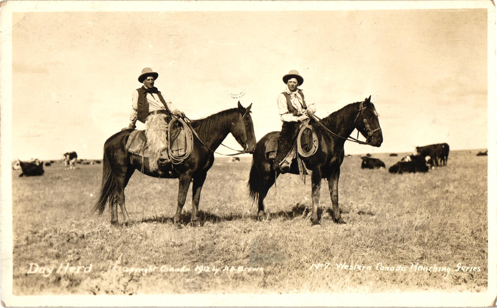 RPPC Day Herd Western Canada Ranching Series #7 Postcard by H E Brown Cowboys