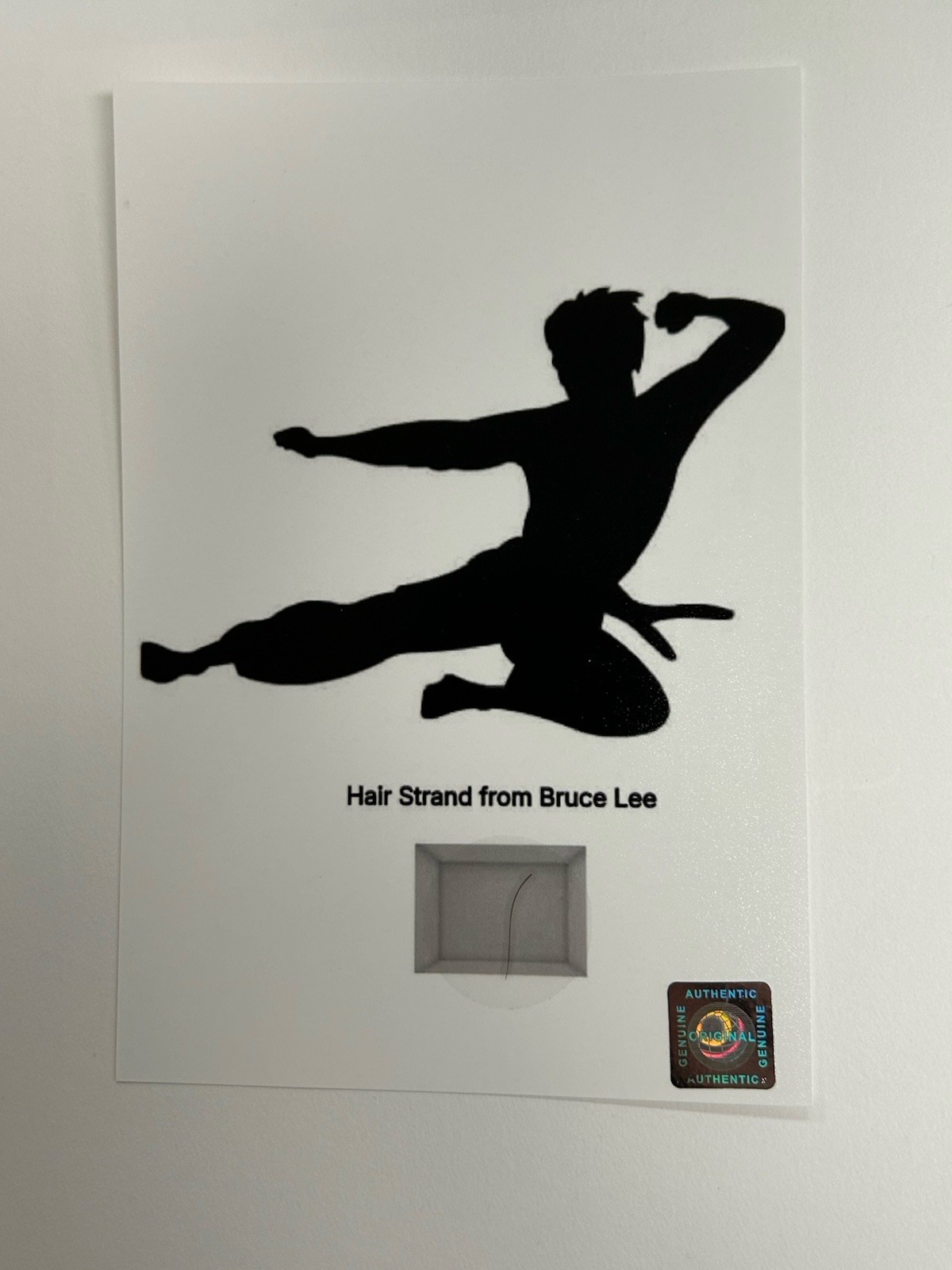 Bruce Lee Hair Lock Piece Speck Relic display photo Authentic Collectors