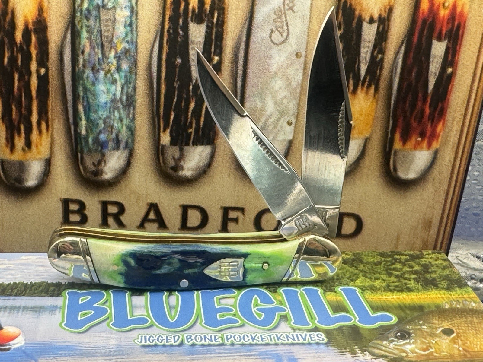 Rough Rider RR2633 Bluegill 2-Blade Blue/Green Bone SS Plain Clip Slip Rough Rider RR2633 Bluegill 2-Blade Blue/Green Bone SS Plain Clip Slip