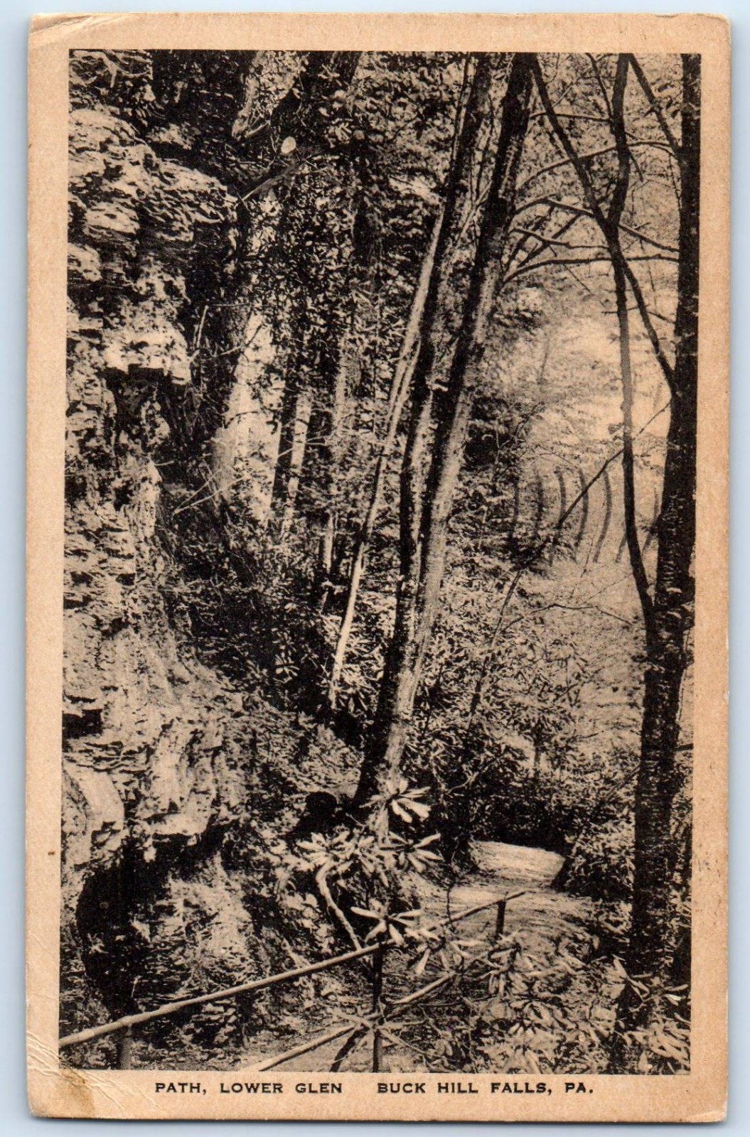 1928 Buck Hill Falls Pennsylvania PA Vintage Postcard Path Lower Glen Posted