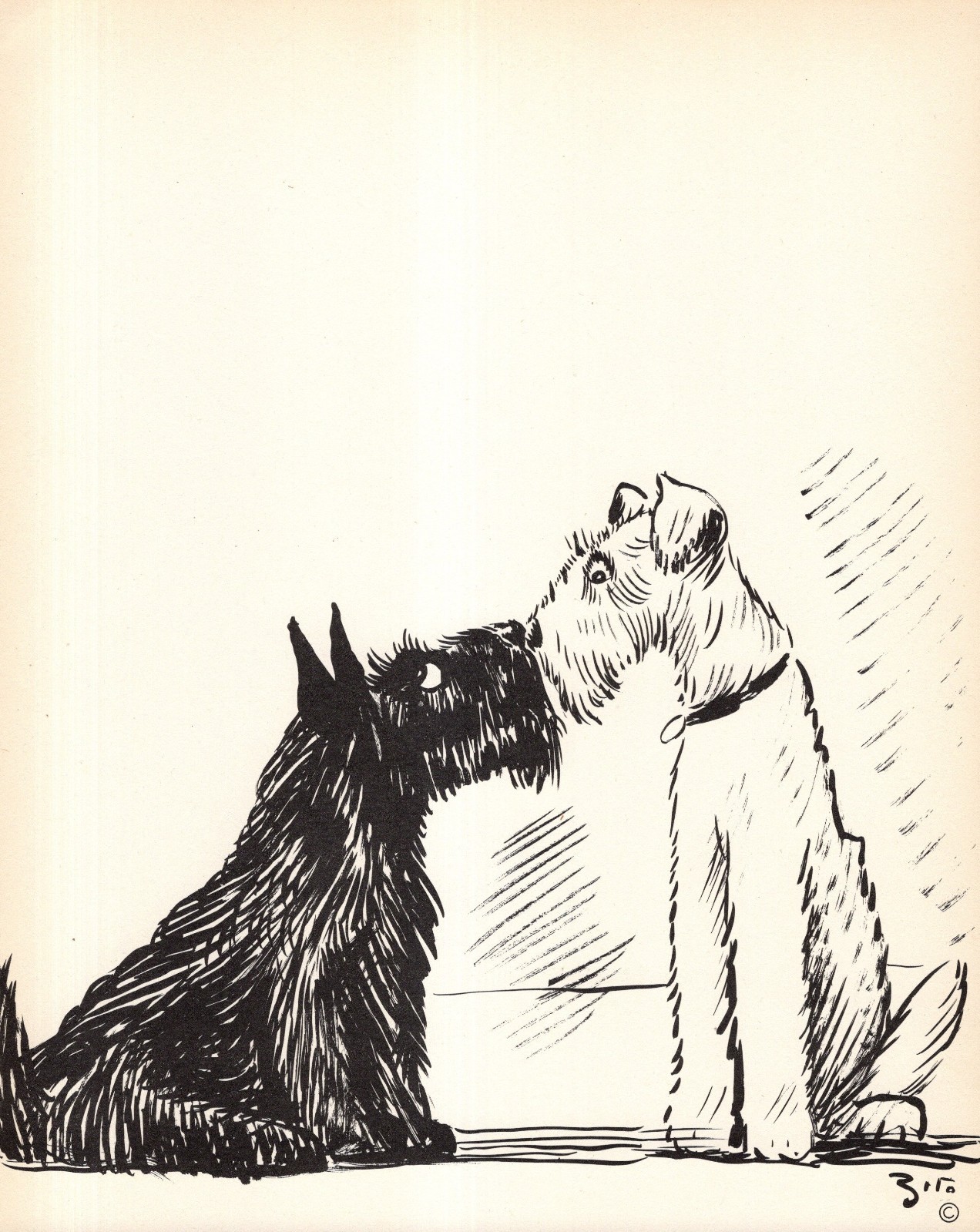Vintage Fox & Scottish Terrier Kissing Print 1930s Illustration by Zito 6499p