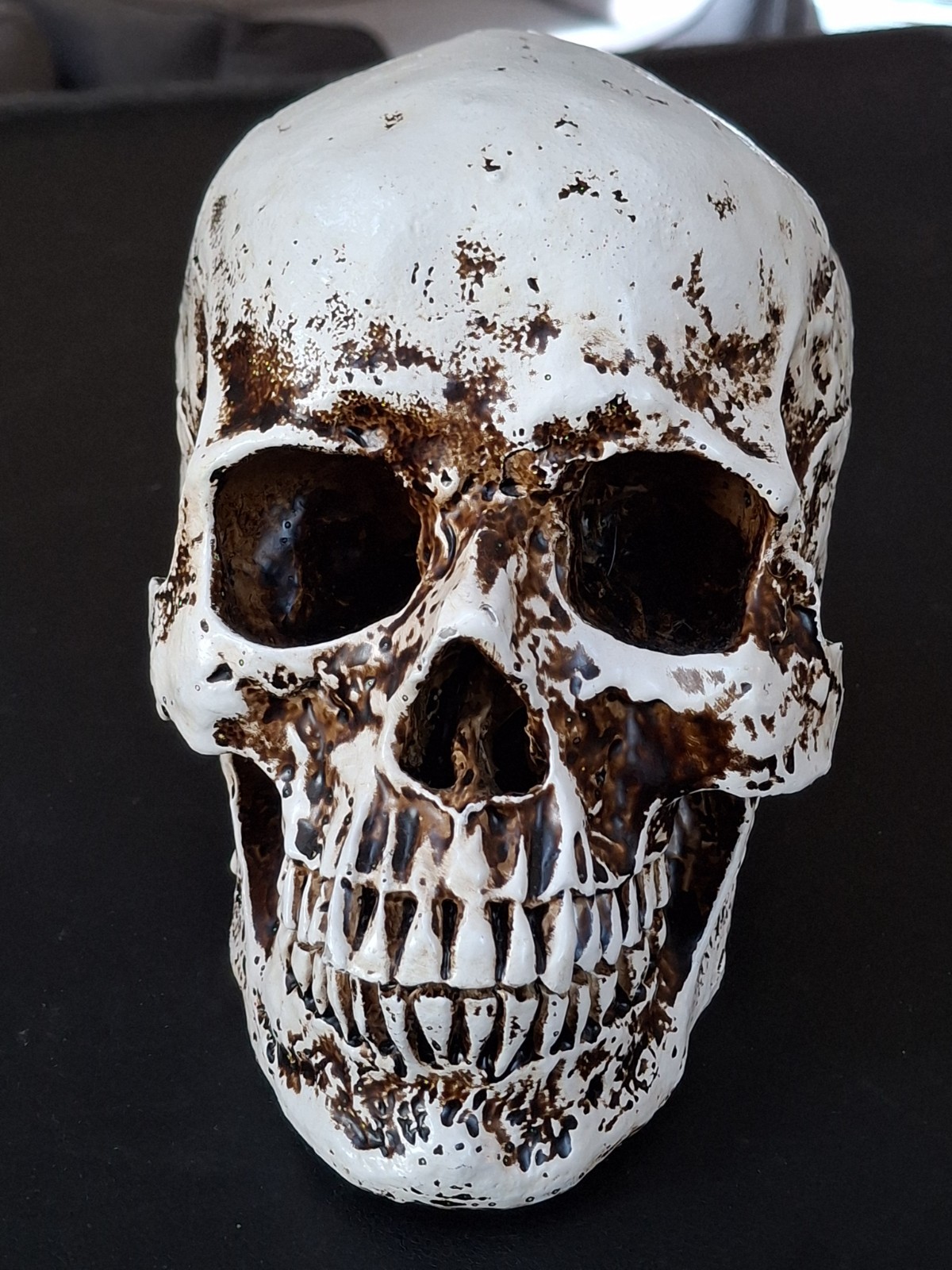 Vintage Halloween Skull Life Size Resin Prop Skeleton Decoration 