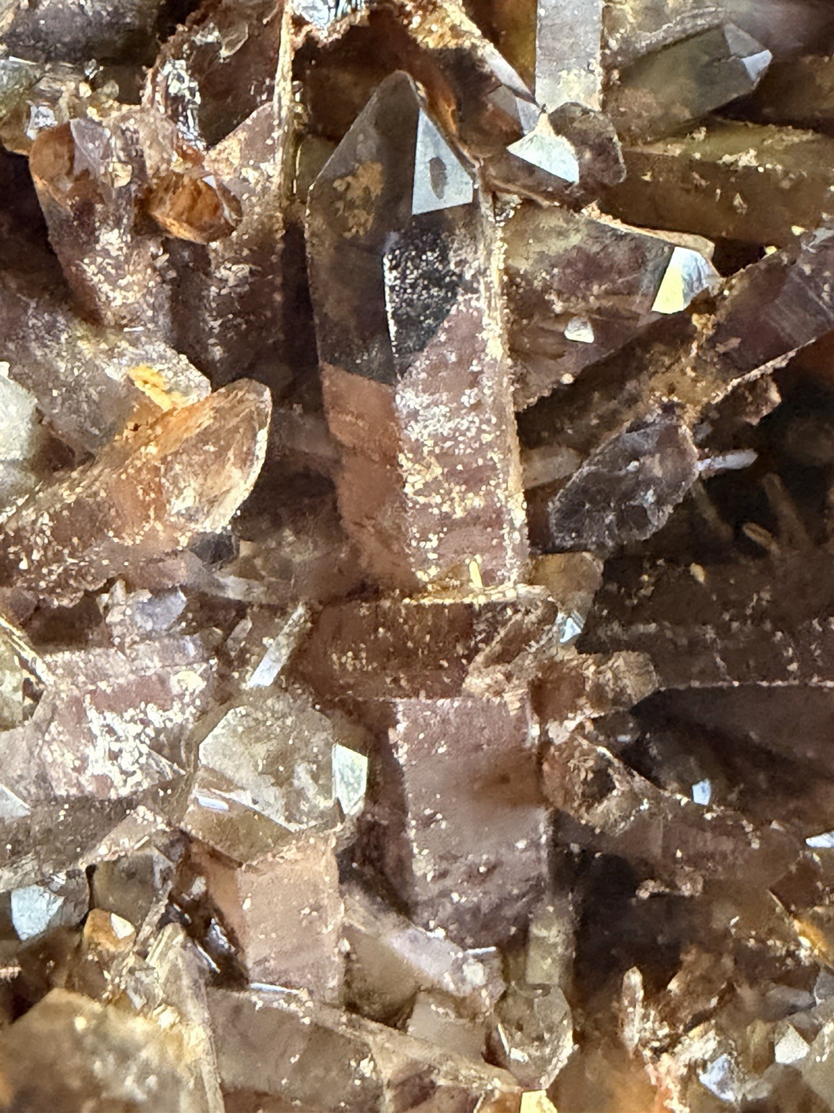 Massive 20lb Smoky-Amethyst Quartz Pocket Plate – 14”x 13” all NATURAL