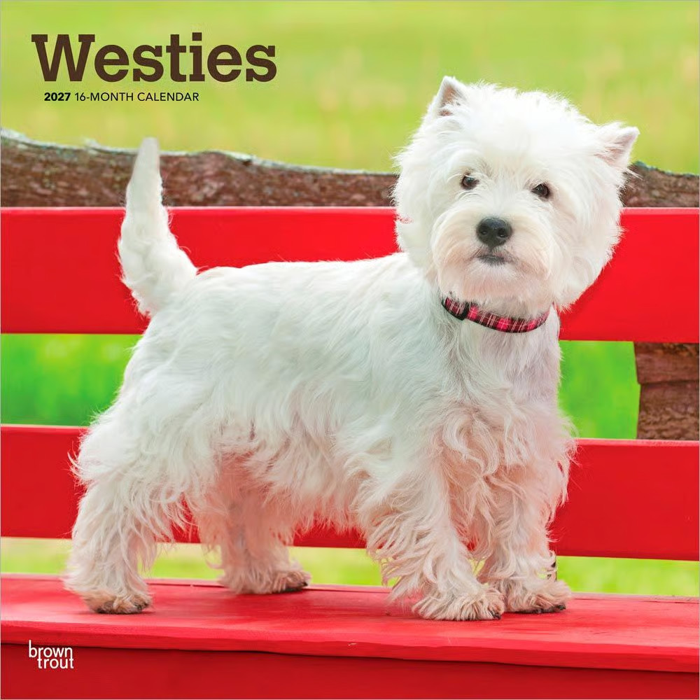 BrownTrout, West Highland White Terriers 2027 Wall Calendar BrownTrout, West Highland White Terriers 2027 Wall Calendar