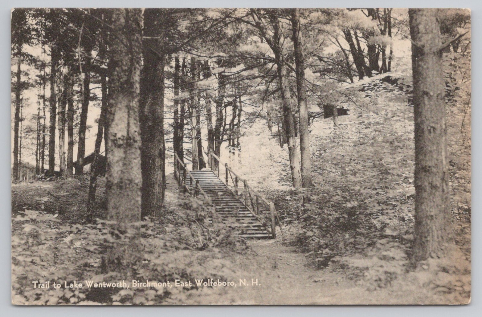 Trail to Lake Wentworth, Birchmont, East Wolfeboro, New Hampshire 1940 RPPC