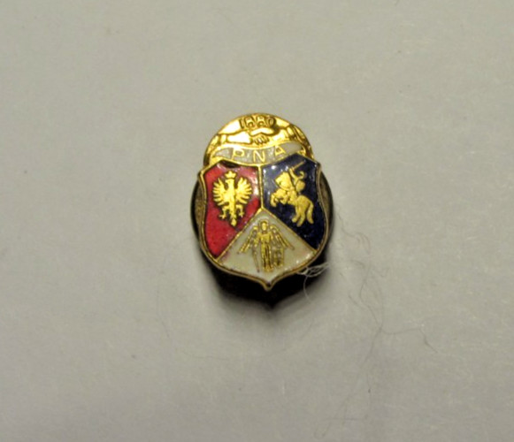 Vintage 1880 PNA Polish National Alliance Enamel Crest Lapel Pin