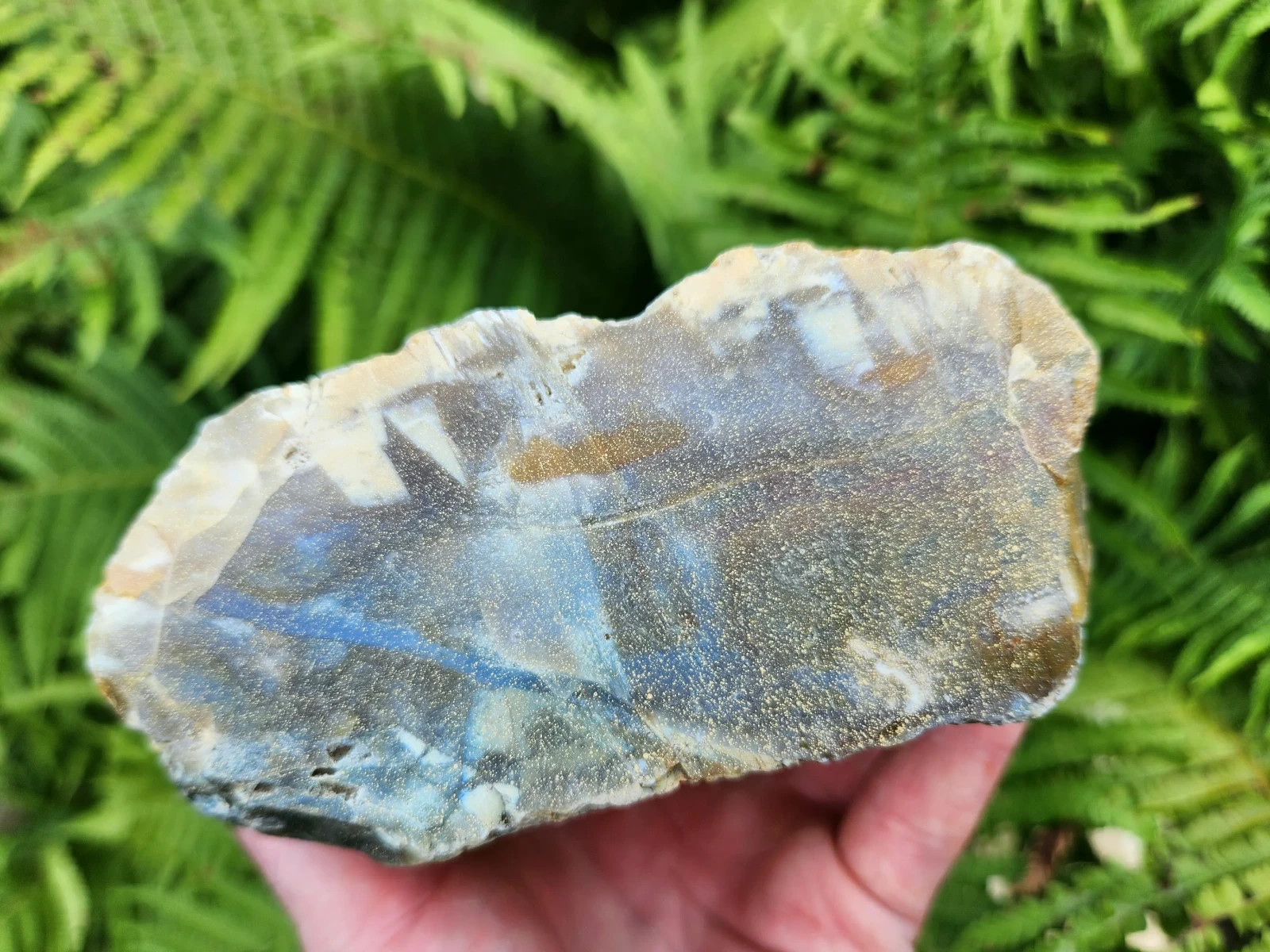 Unique Oregon Coast Agate w/ Mineral Inclusions, Pre-cut & Unpolished 2 lb Piece