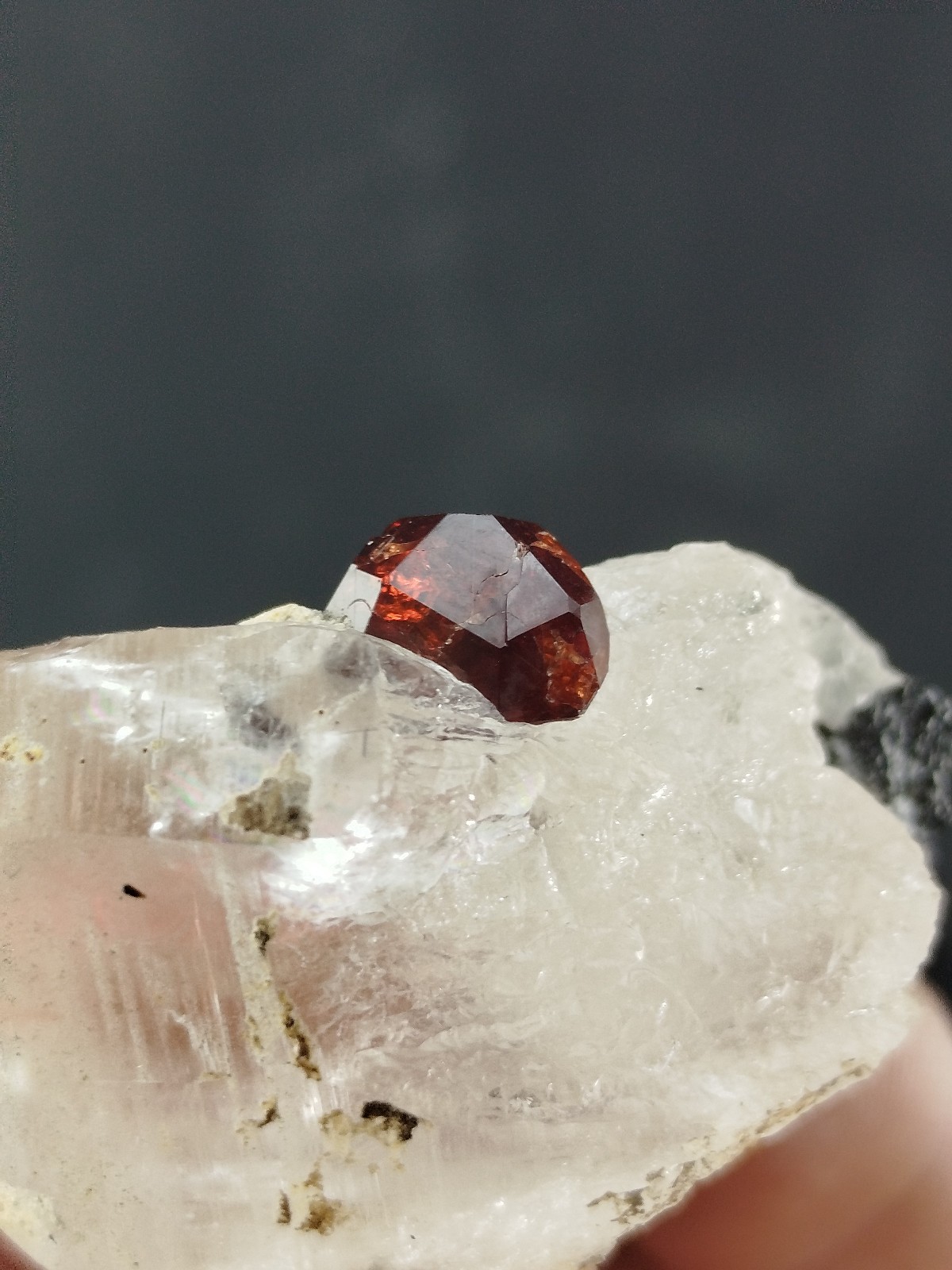 Red Garnet on Quartz Gemmy Spessartine Garnet mineral on quartz Crystal Specimen
