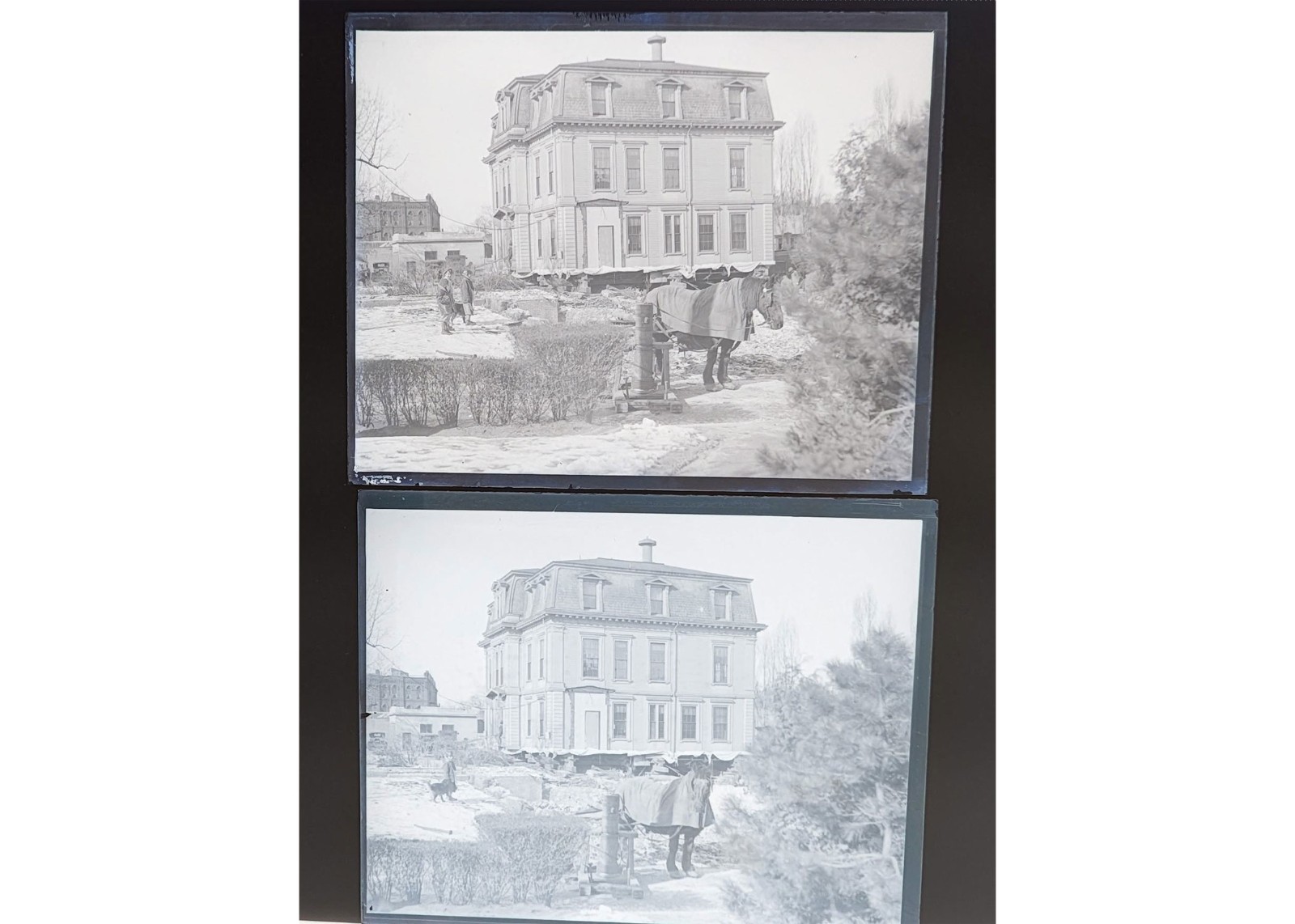 1931 Newton MA Horse Moves Victorian Mansion House Glass Negatives (2) OOAK