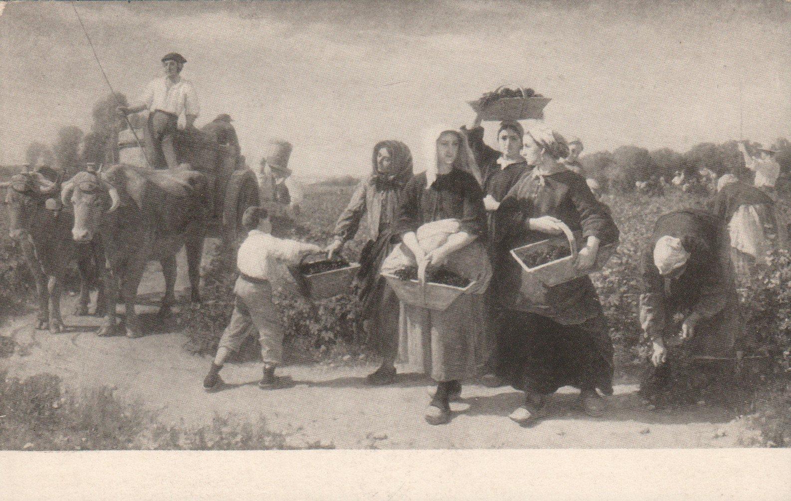 1915 Panama-Pacific International Exposition The Vintage Jules Breton POSTCARD