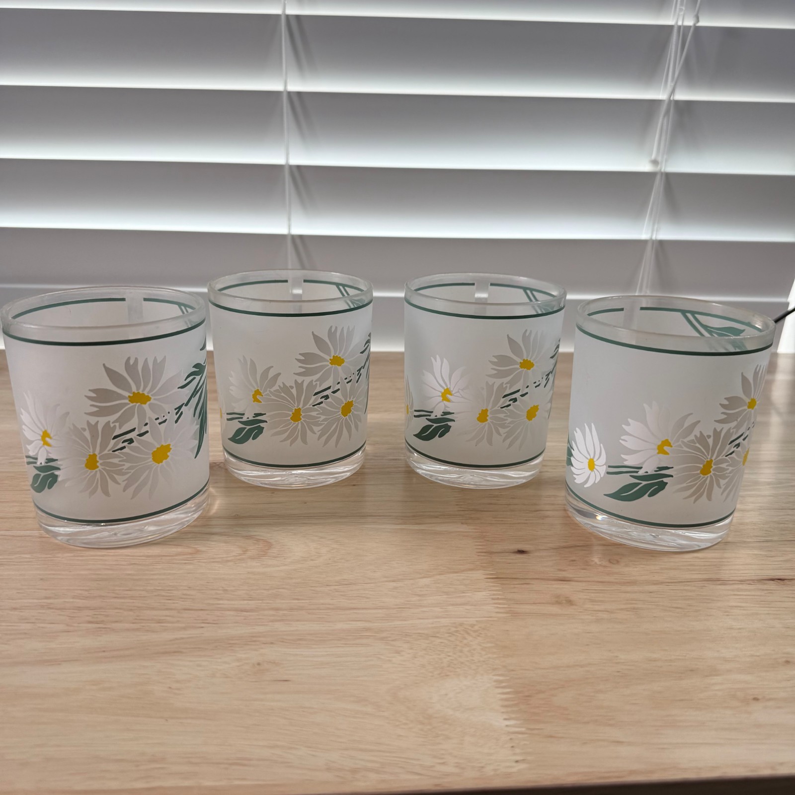 Vintage H.J. Stotter Digby Daisy Frosted Acrylic Drinking Cups Tumblers Set of 4