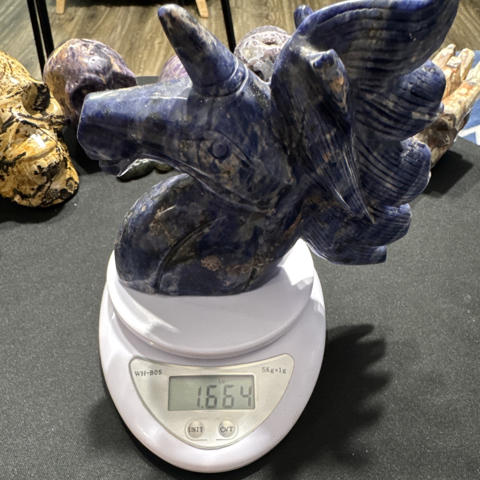 Large Sodalite Crystal  Unicorn 5.75 inches wide 5 inches tall