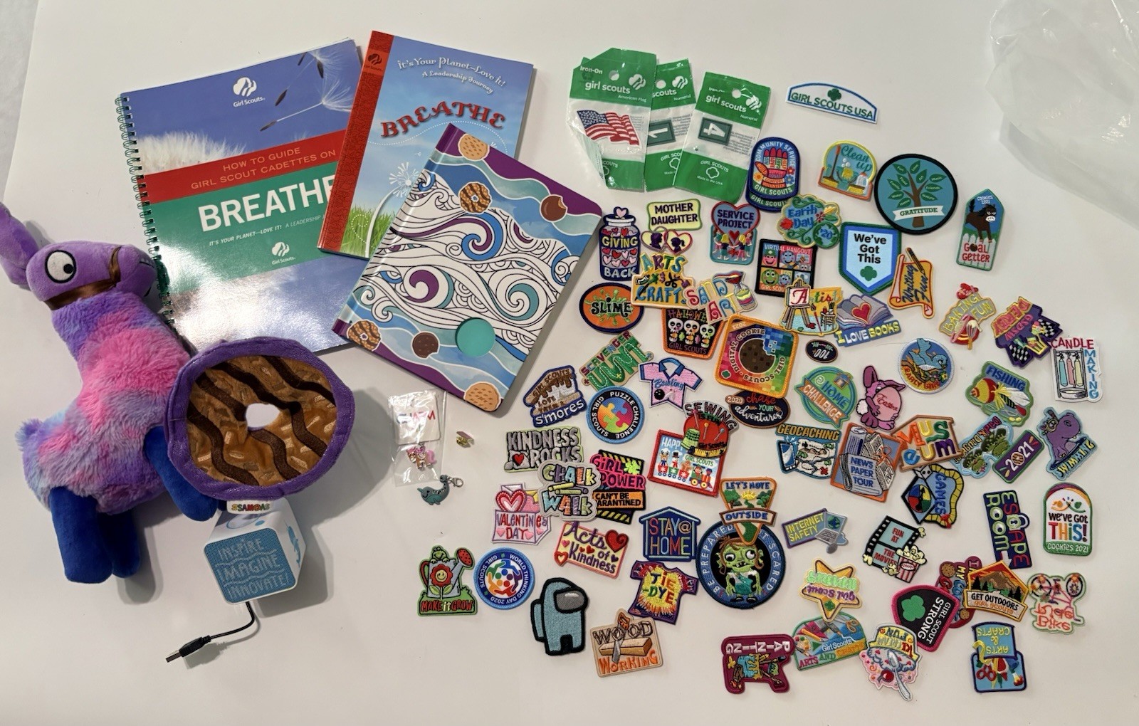 75 + Large Lot Of Girl Scout Patches Badges Incentives And Prizes