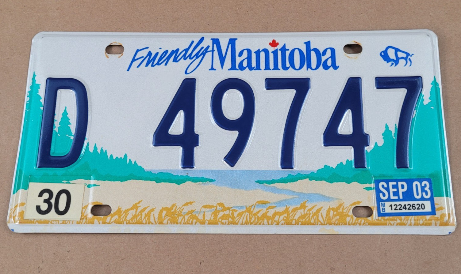 2003 Friendly Manitoba Buffalo Canada Dealer License Plate D49747