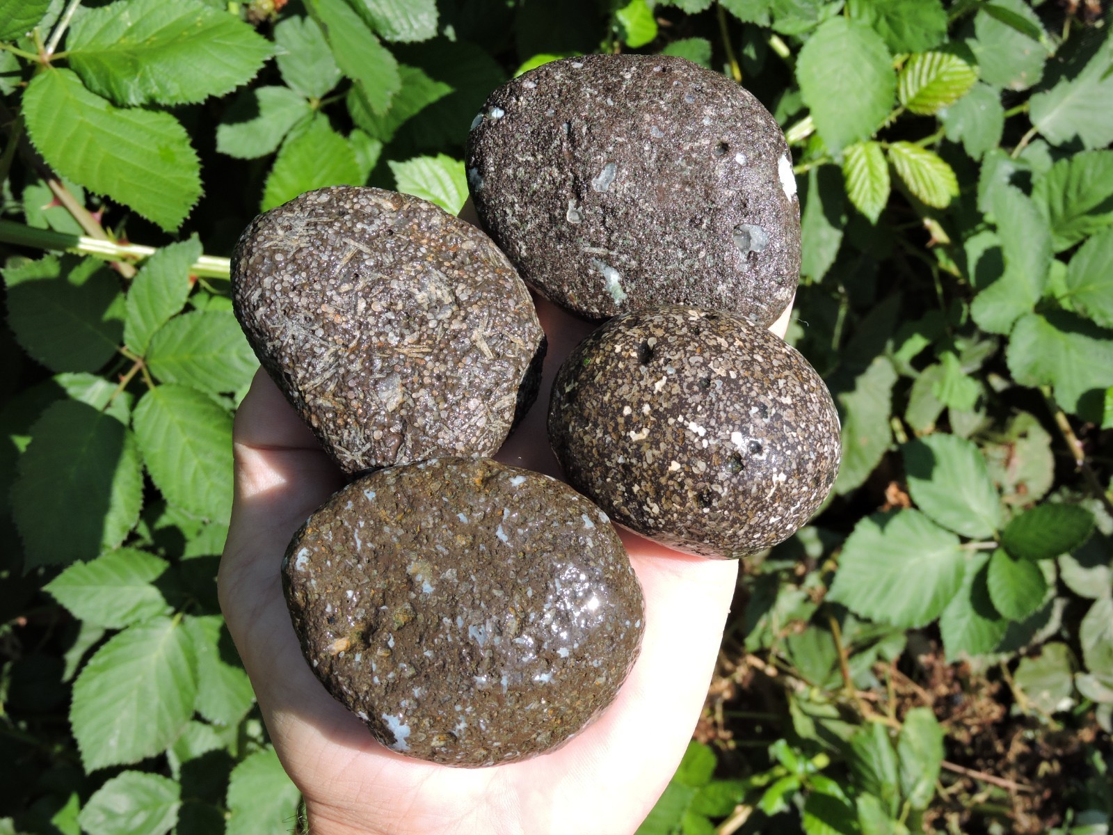 4 GALAXY Porphyry Stone Rock Nodules ZEOLITE CRYSTAL & Agate Inclusions (23.4oz)