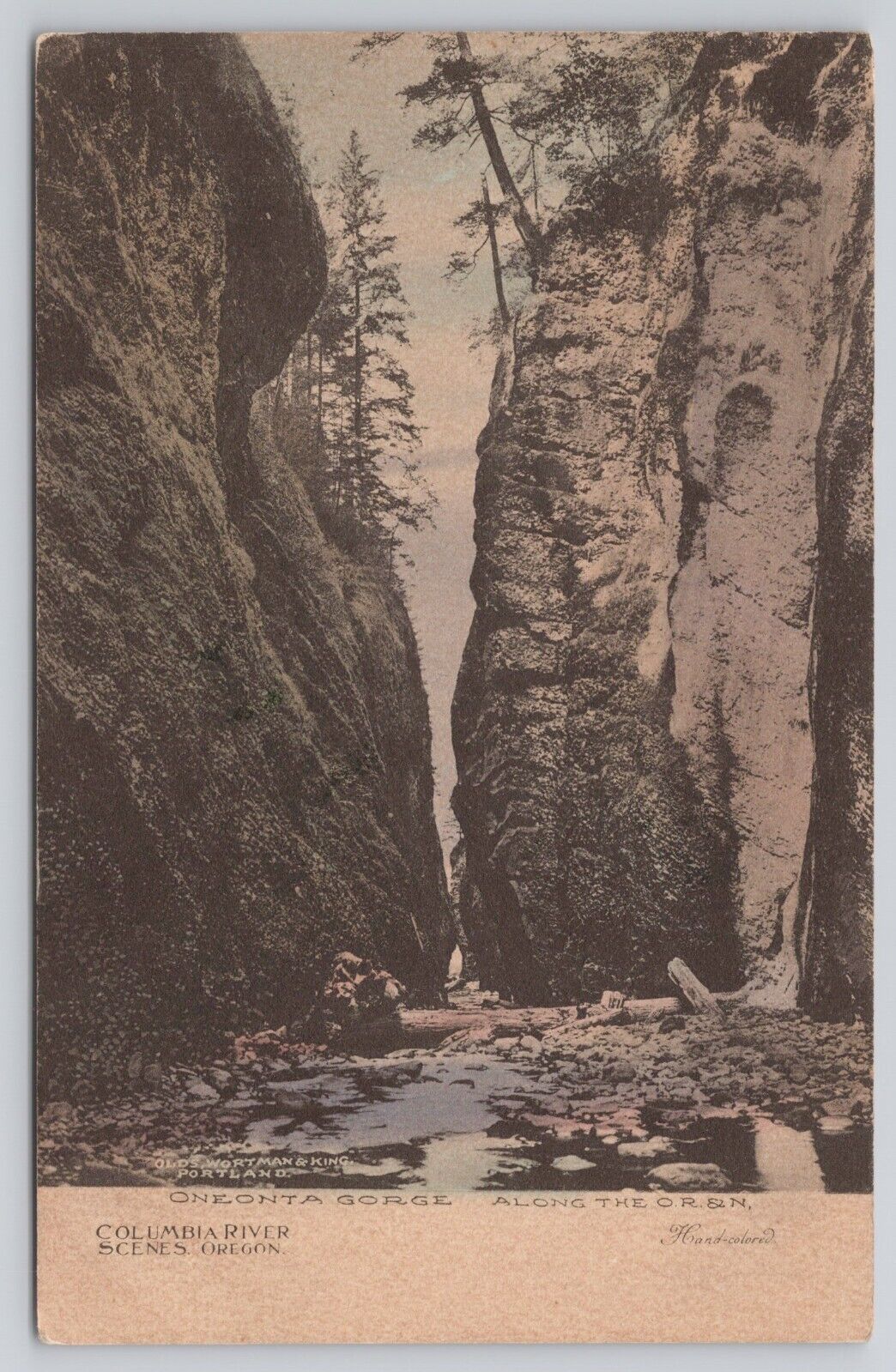 1911 Oregon Columbia River Scenes Oneonta Gorge Hand-Colored Albertype Postcard
