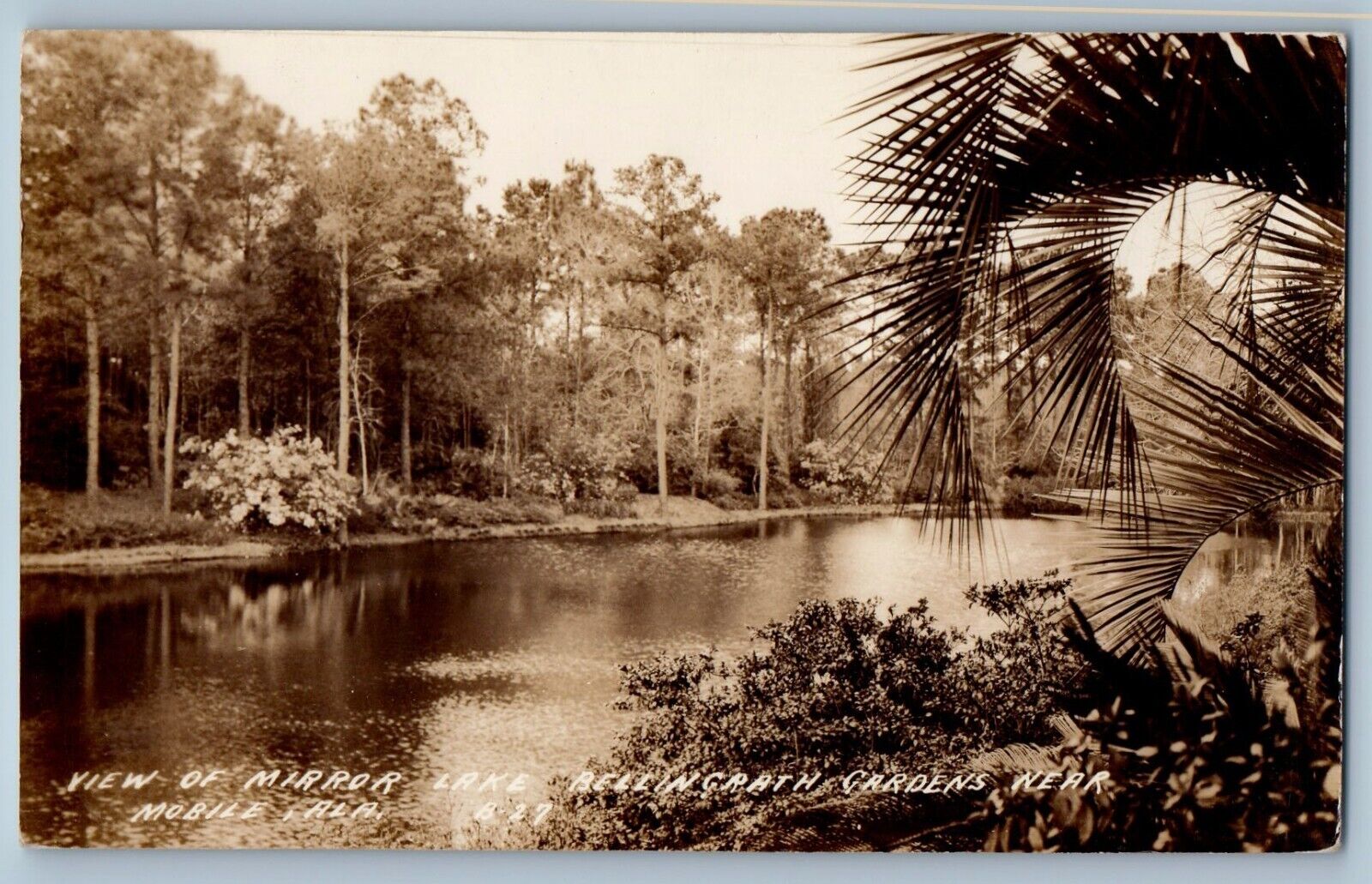 Mobile AL Postcard RPPC Photo View Of Mirror Lake Bellingrath Gardens c1940\'s