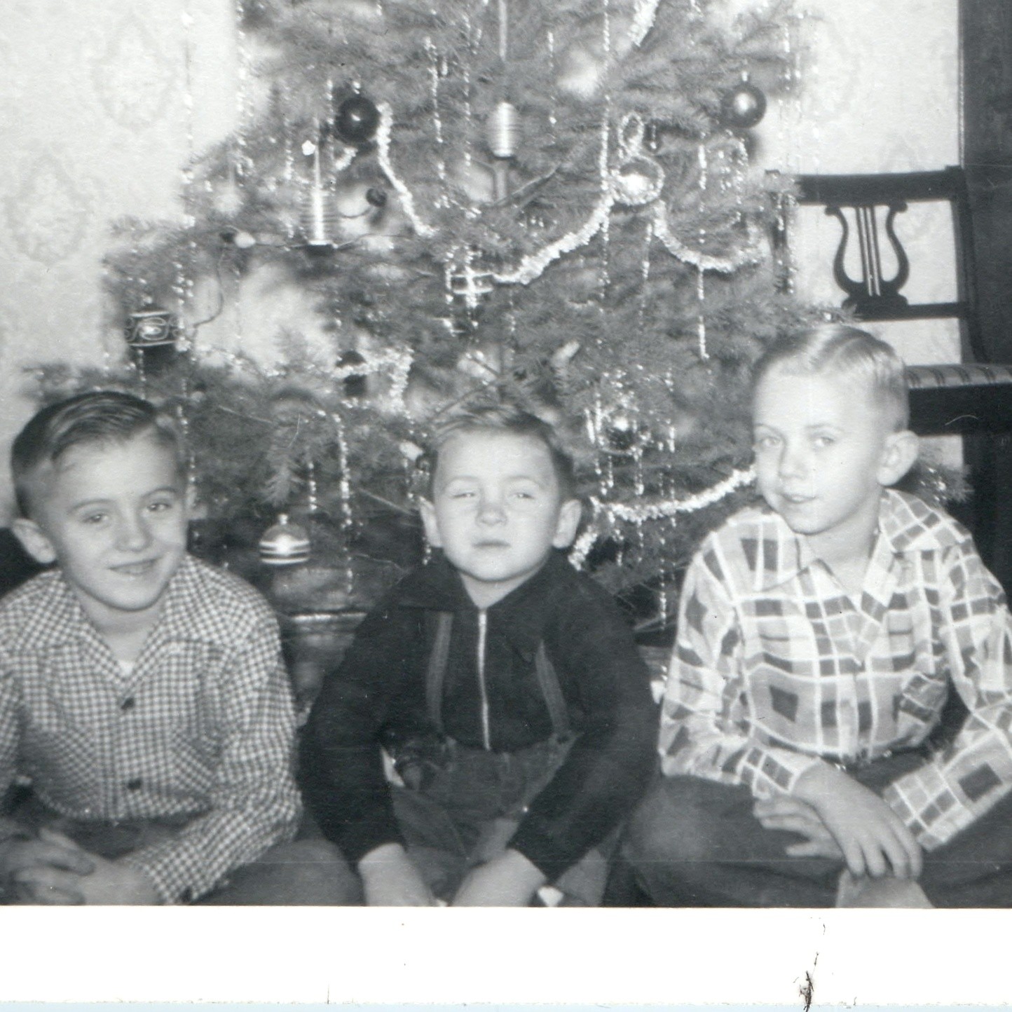 c1950s Three Boys Christmas Tree Deckle Edge Snapshot Photo Season\'s Greetings