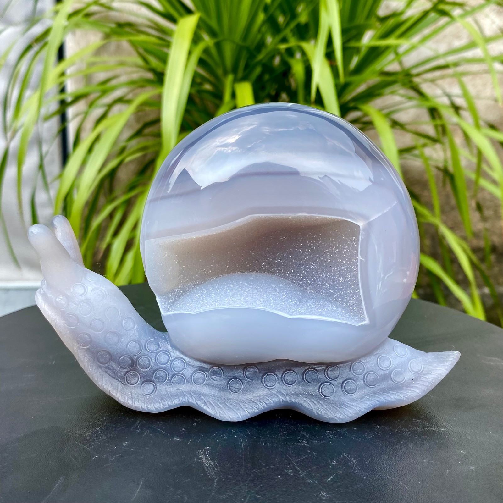 1.63LB Natural agate geode quartz crystal engrave snail skull healing gift decor