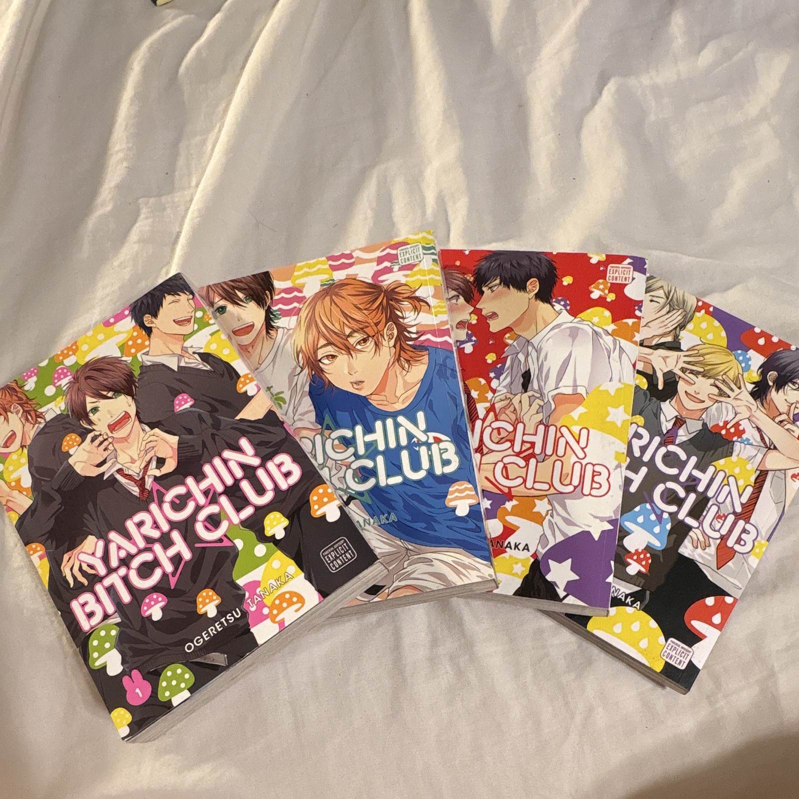 Yarichin Bitch Club Vol 1-4 Manga Lot English Softcover Sublime Tanaka