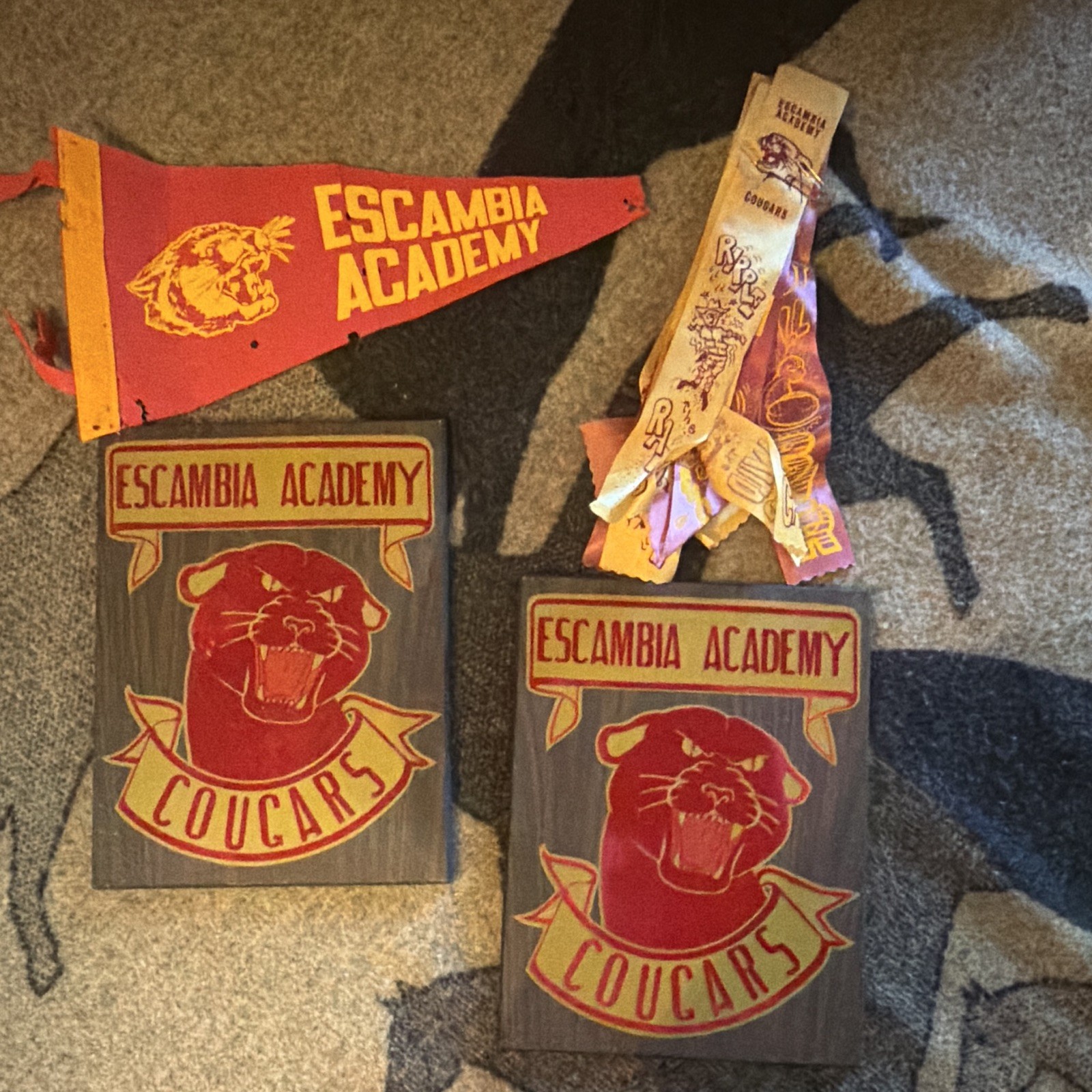 Vintage rare high Escambia Academy Cougars Pennant Wood Plaque sign Ribbons Lot