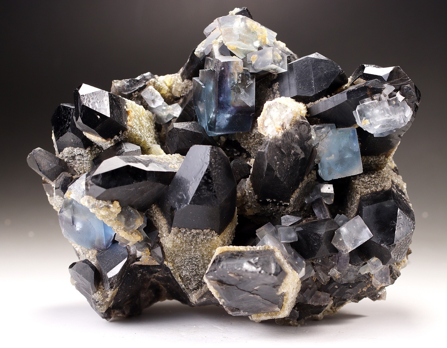 RARE HUGE GEMMY TURQUOISE ZONE FLUORITE W/ BLACK CLUSTER FLOWER Yaogangxian Mine