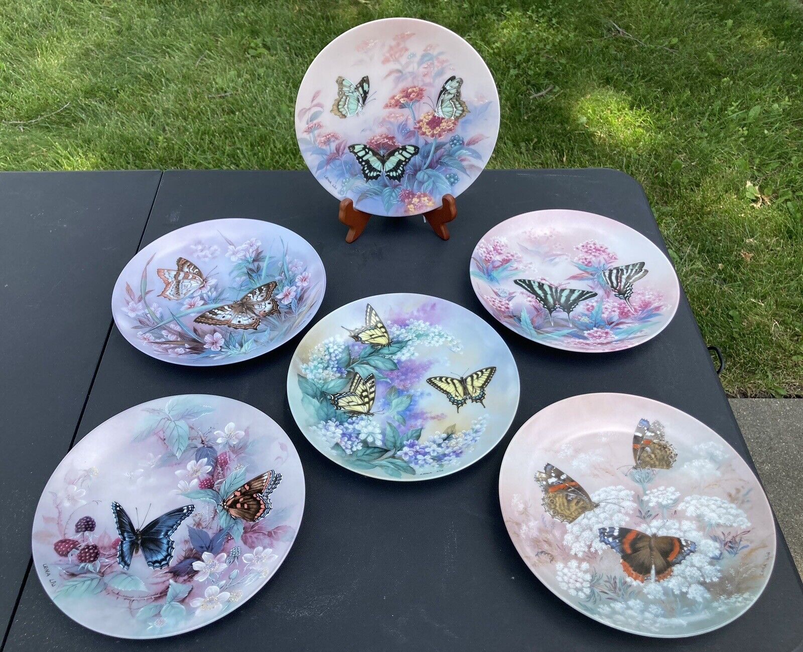 Lot Of 6 Lena Liu Butterfly Plates The Xerces Society - Excellent Condition
