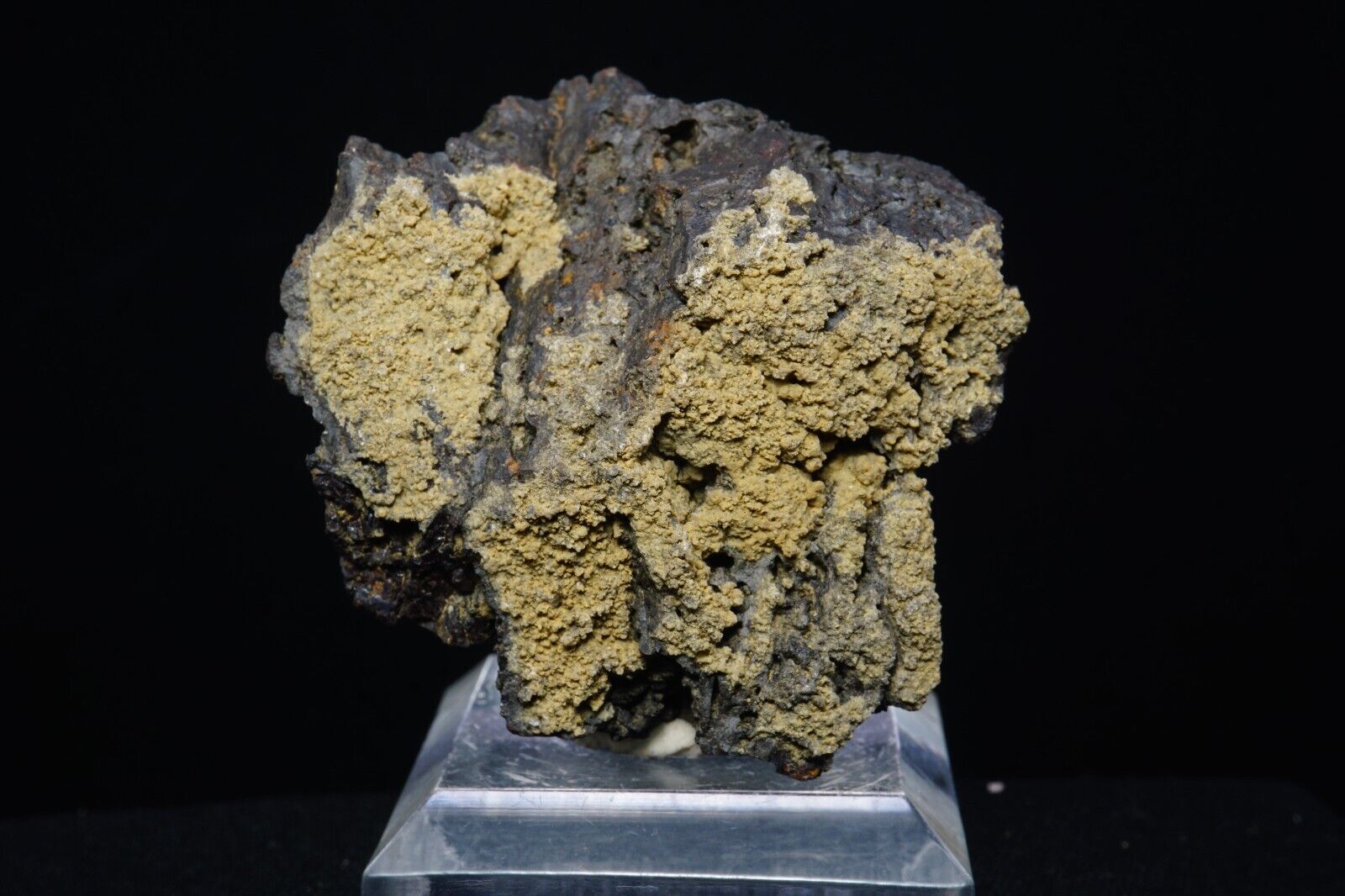 Hidalgoite on Goethite / Rare 4.5cm Mineral Specimen / Gold Hill Mine, Utah
