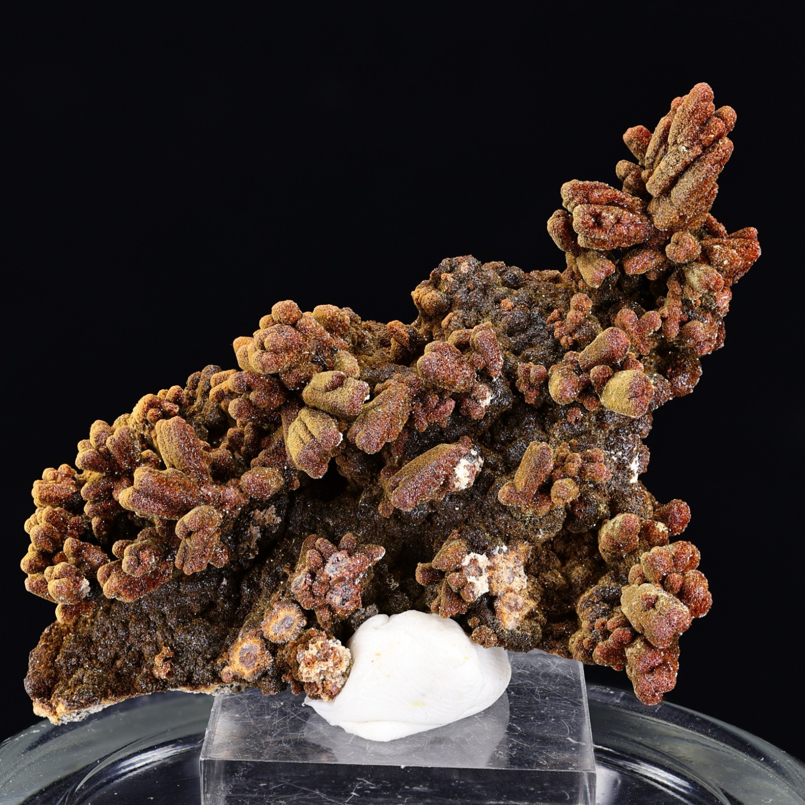 Descloizite ps Vanadinite | Robinson District, White Pine Co, Nevada - NEW FIND
