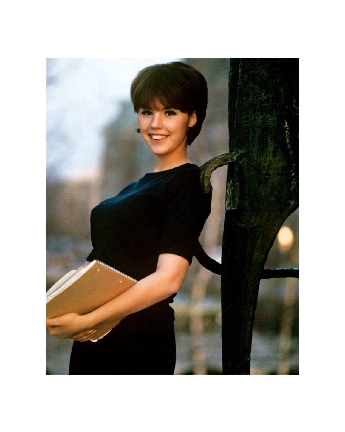 Dianne Chandler 1970s Playboy Model 8x10 Glossy Photo