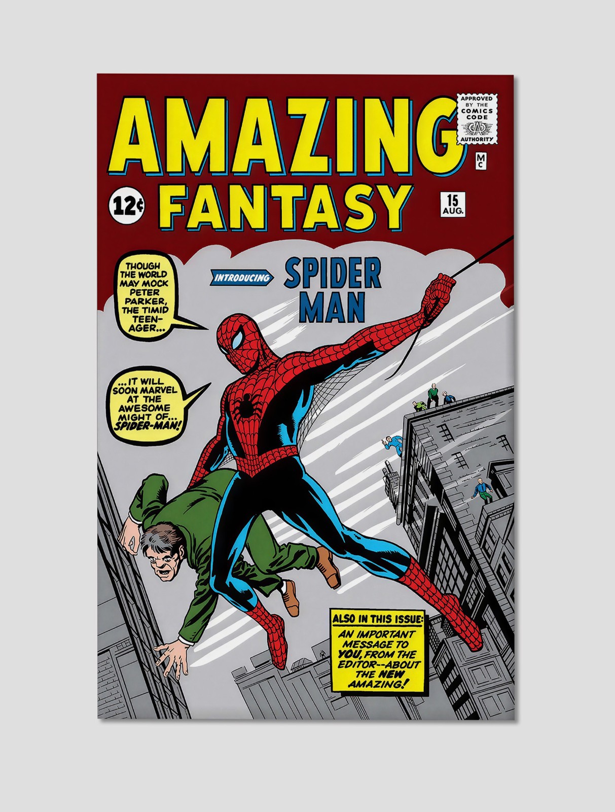 Spider-Man Amazing Fantasy #15 First Appearance Giclee Print Poster 11x17 WalArt