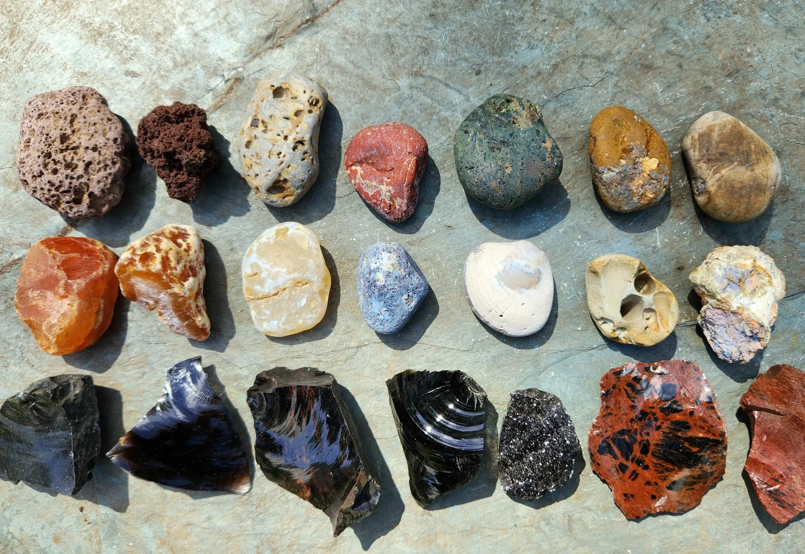 Lot of 21 Unique Oregon Coast Rocks / Agates / Jasper / Fossils / Pet Wood