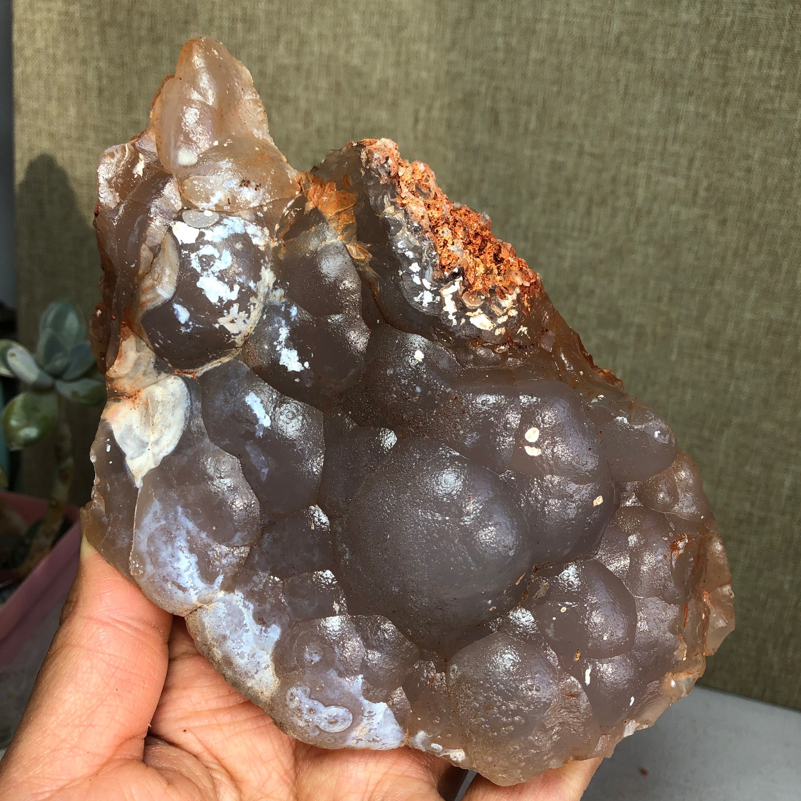 Rare Bonsai Suiseki Gobi semi-precious stone rough original Specimen 452g A2306