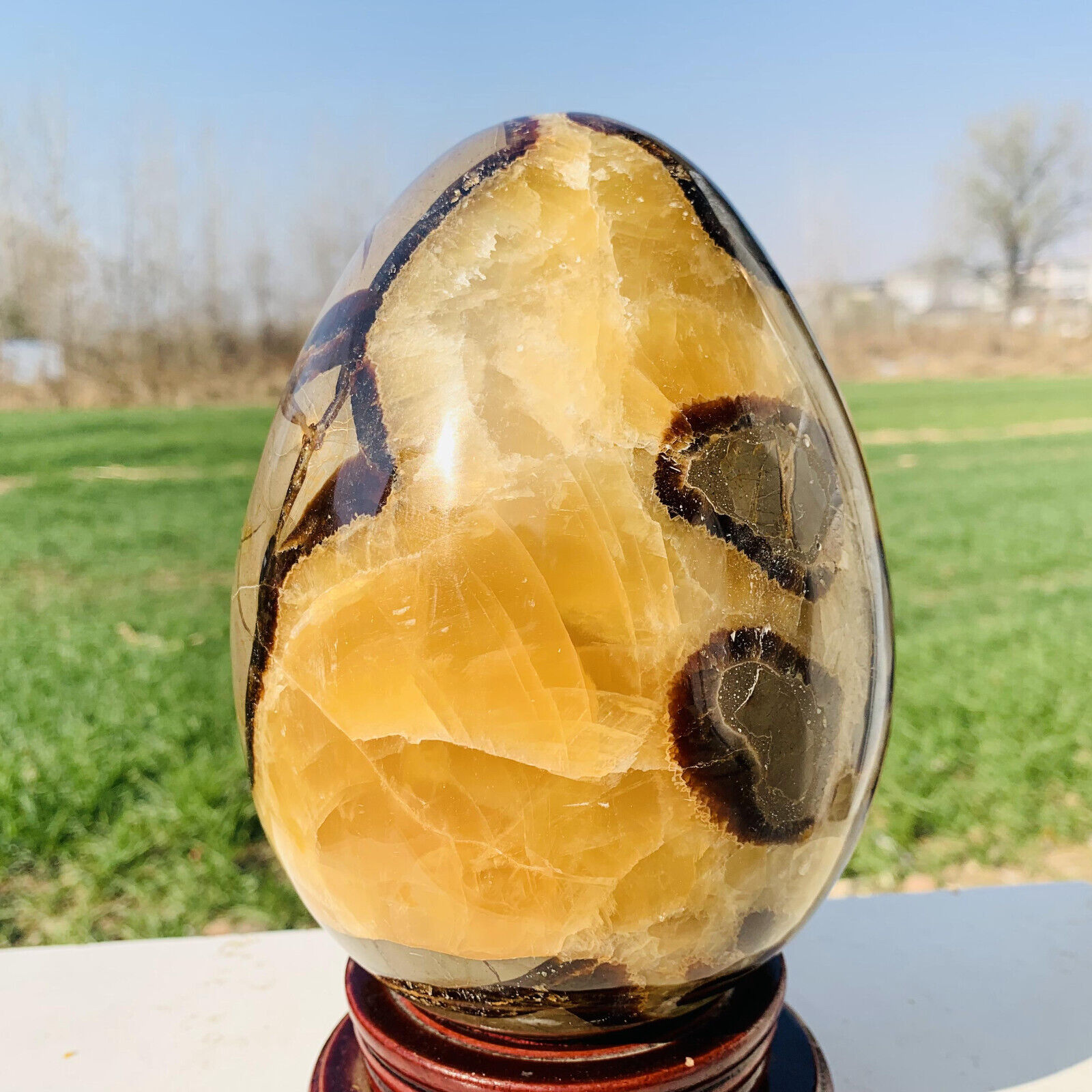 9.65lb Natural Turtle Back Stone Egg Shape Dragon Crystal Crack Mineral specimen
