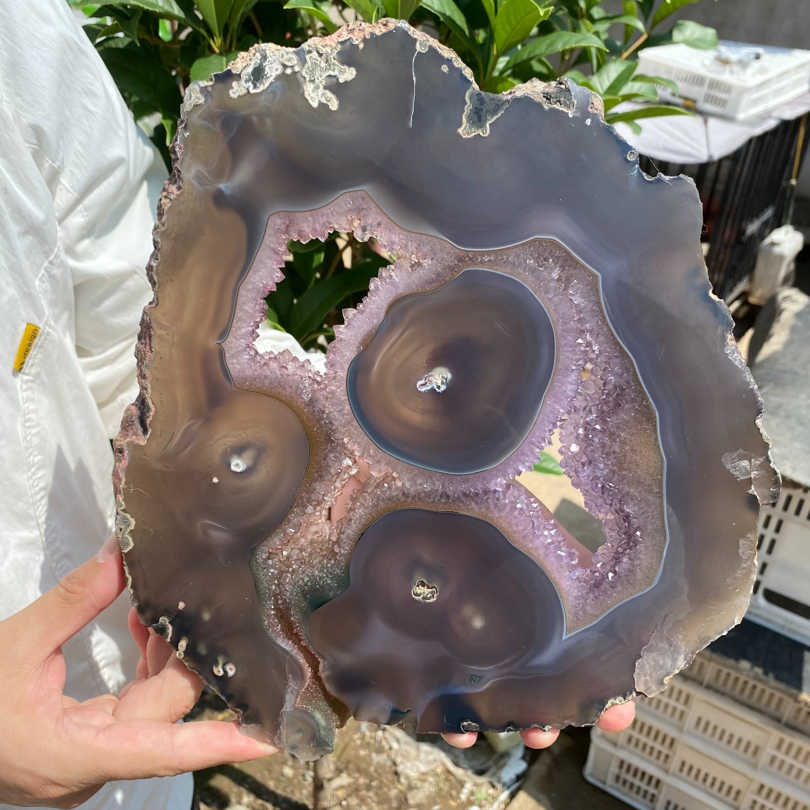 3.5LB Natural Amethyst agate geode quartz cluster crystal specimen Healing