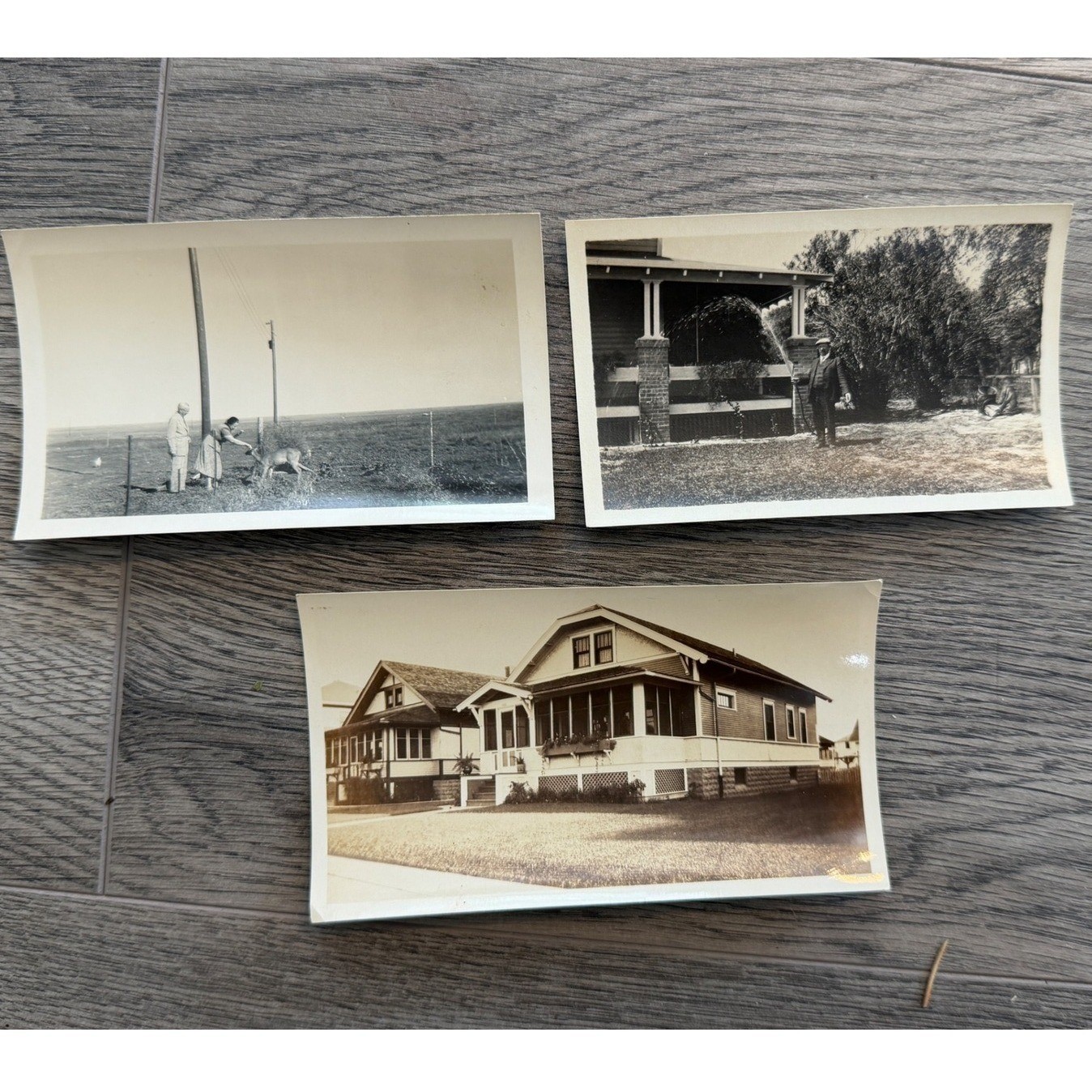 Vintage Photographs Lot 3 pc Americana Family Landscape 30s Black White Snapshot