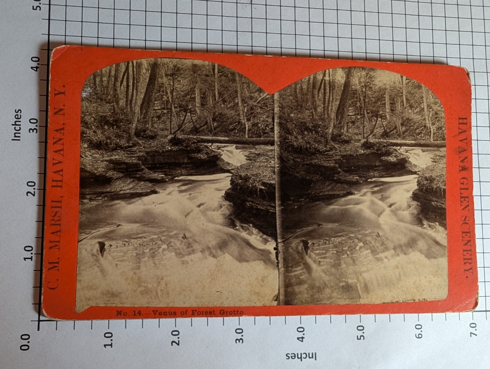 11.Large Format, Havana Glen Scenery, Venus Forest Grotto, Havana, NY, C M Marsh