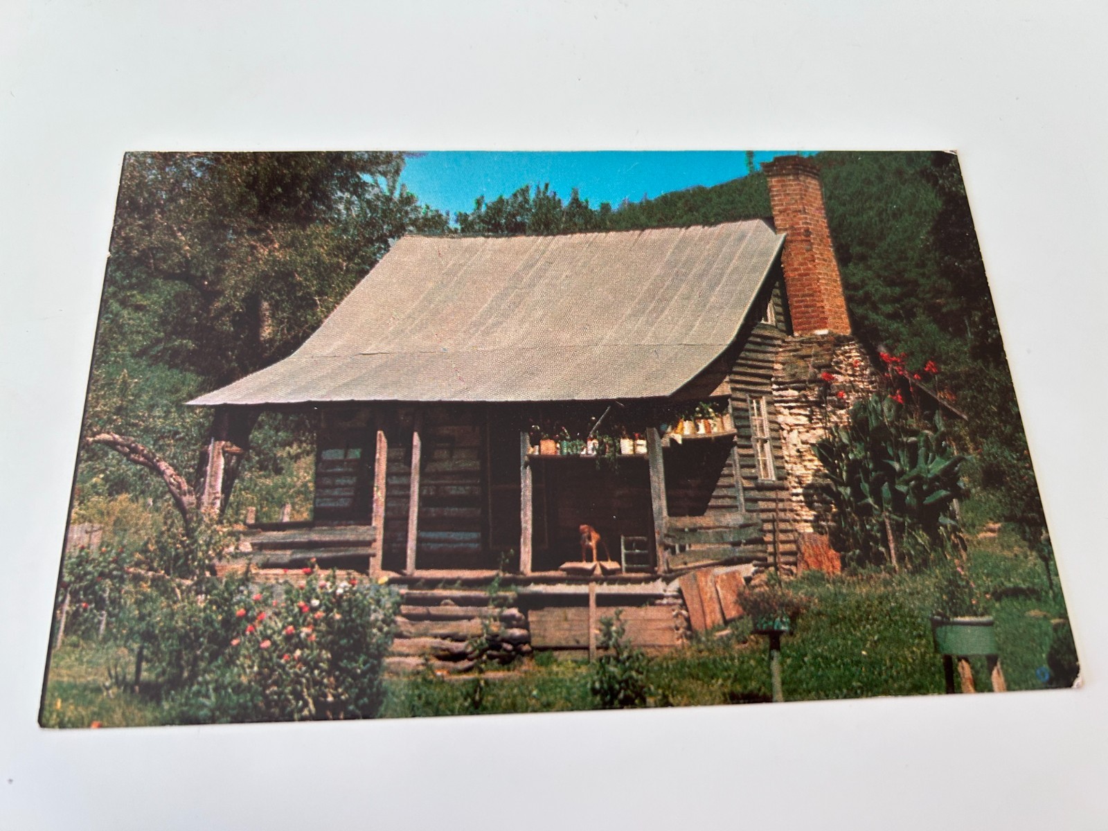 A Typical Cabin in the Heart of the Mountains Postcard