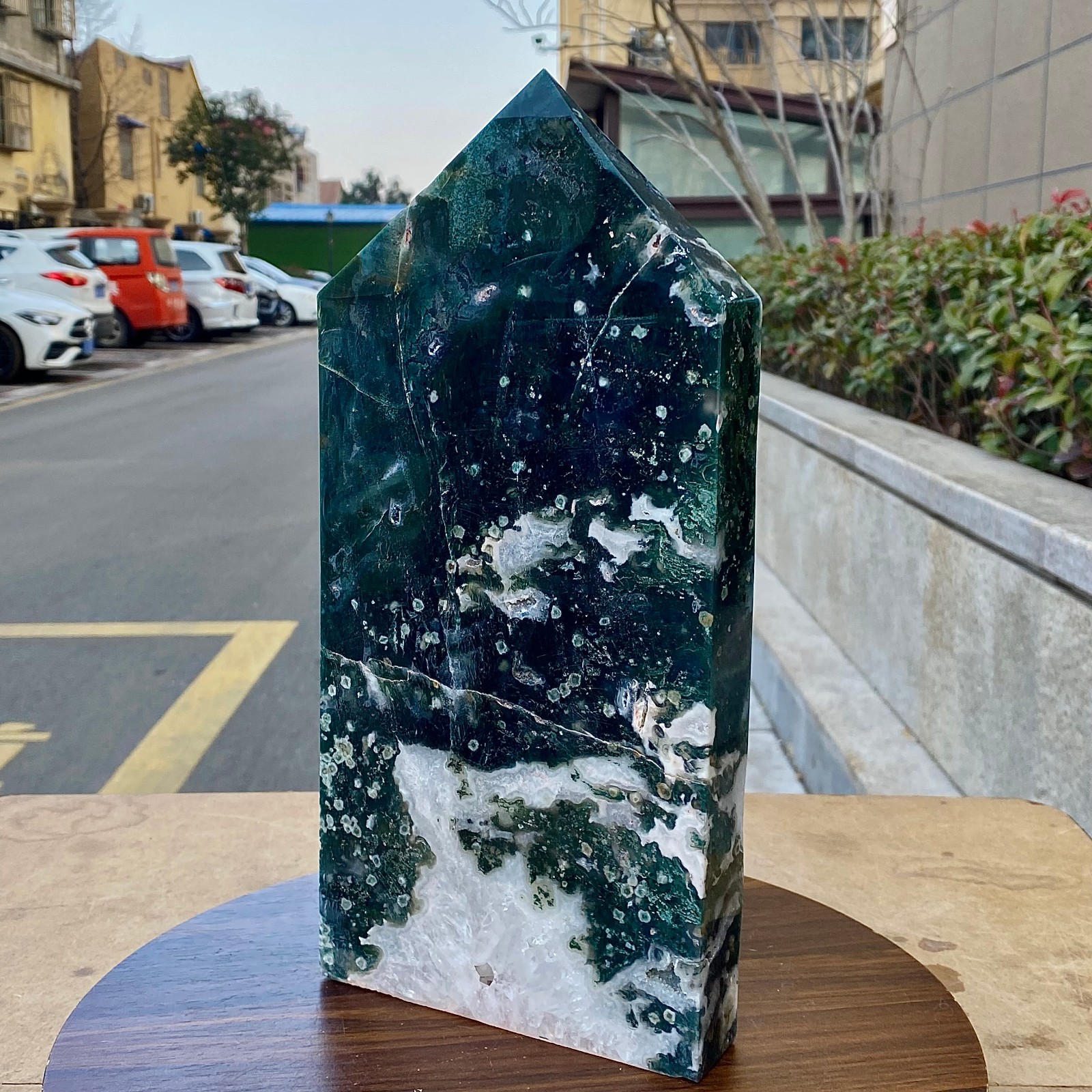 Natural aquatic plant Multi pointed water grass moss agate - 6.6LB