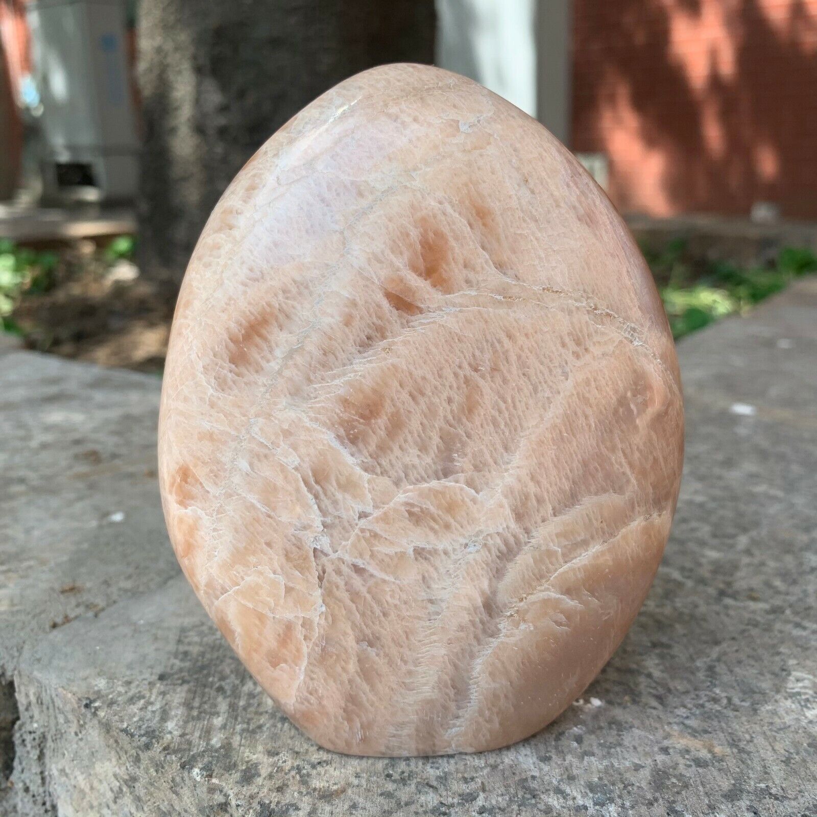 1.62LB  Natural orange Moonstone crystal quartz  specimen reiki heaing
