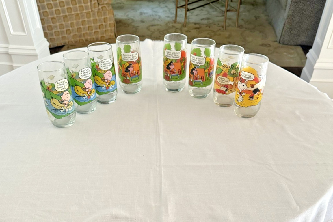 Vintage 1983 McDonald\'s Peanuts Camp Snoopy Collectors Glasses 8 glasses - DS29