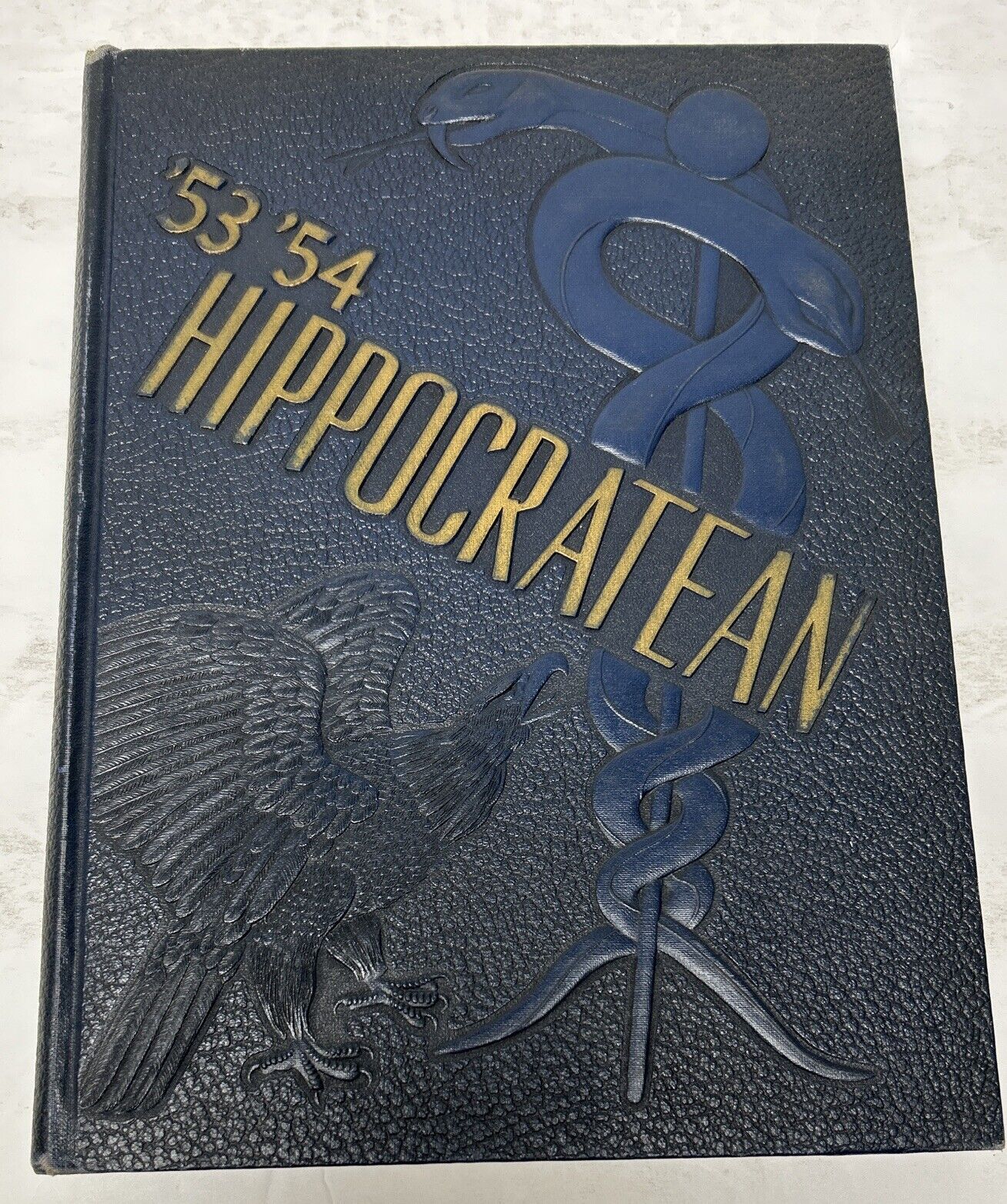 School of Medicine University of Pittsburgh 1953-54 Yearbook | Hippocratean