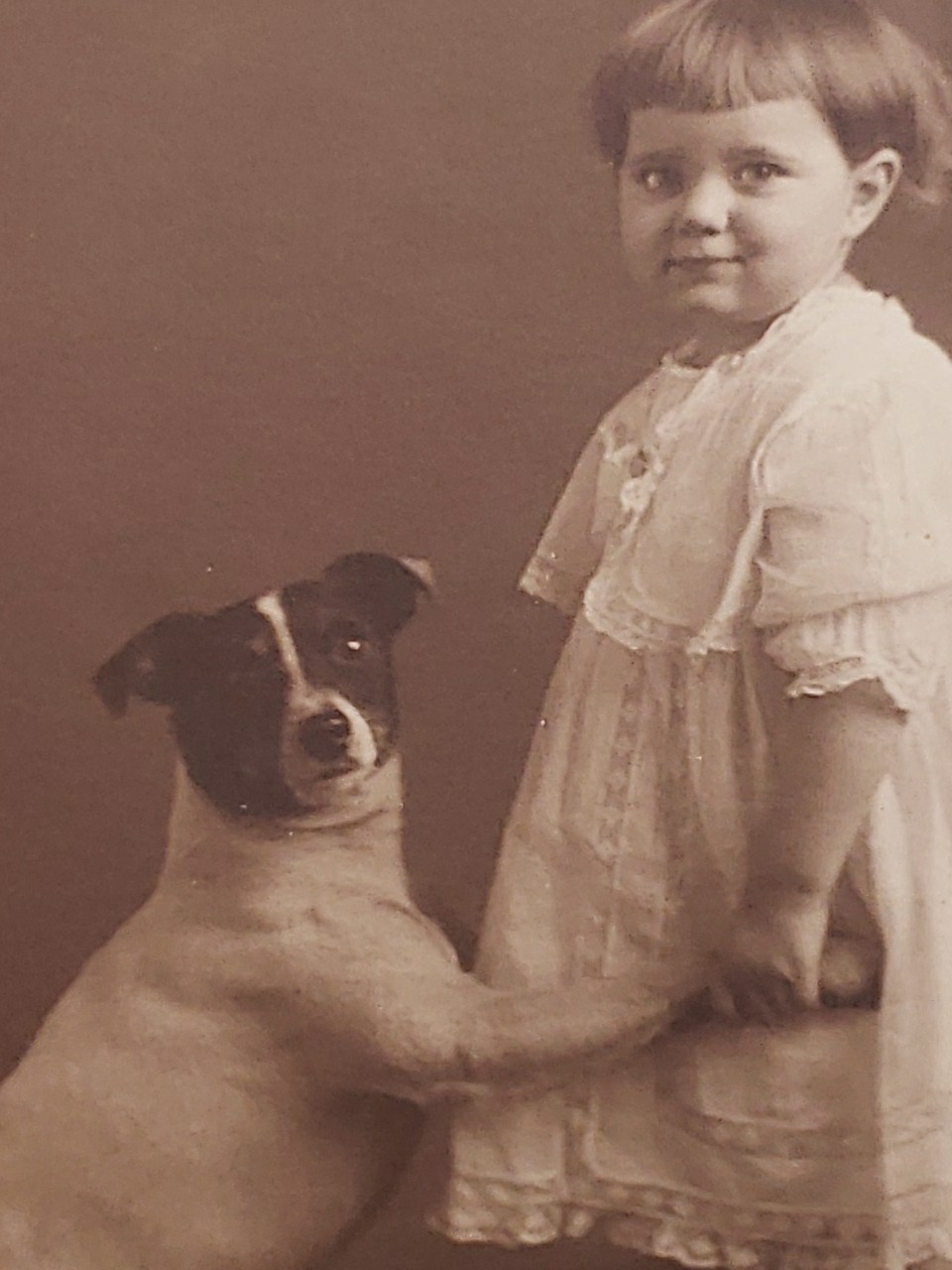 Antique 1900s Harper Joliet IL Photo Girl Holding Hands with Fox Terrier Dog 