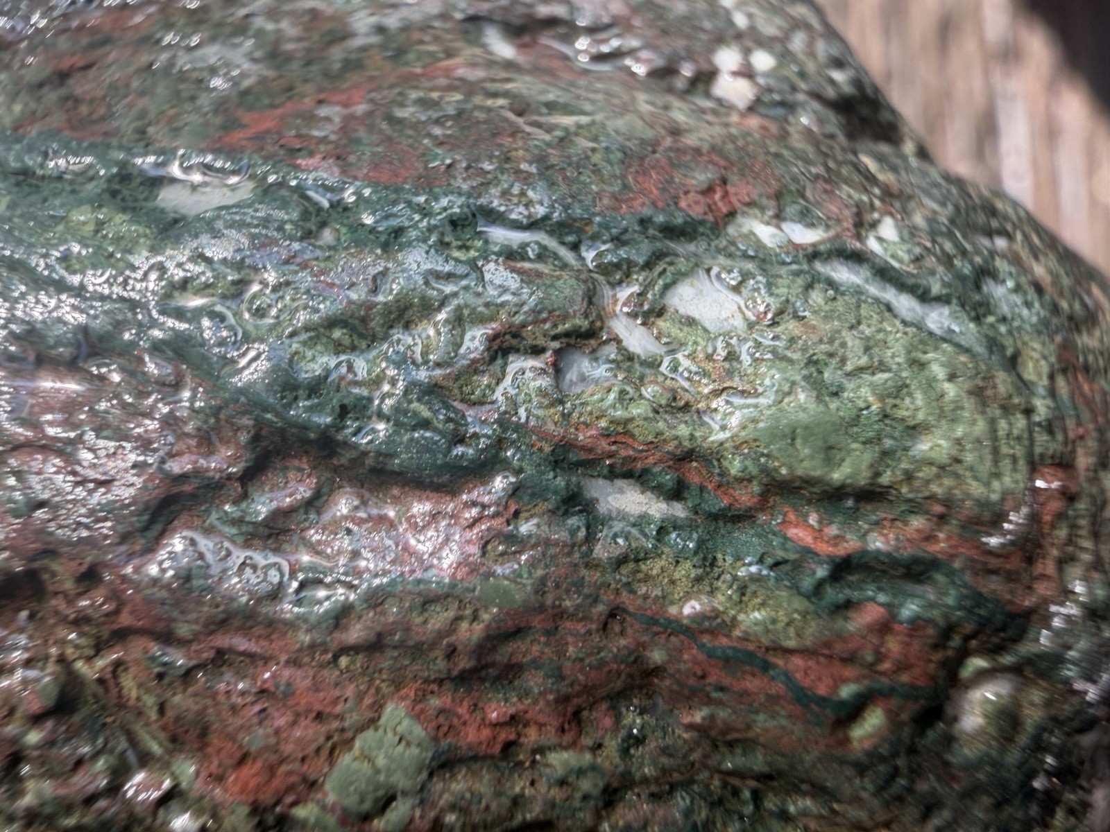 Large Black Multicolor Green Brecciated River Rock Veins Natural Display Stone