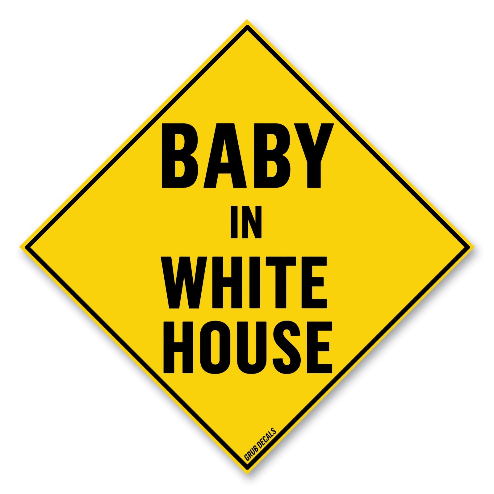 Baby in White House Magnet