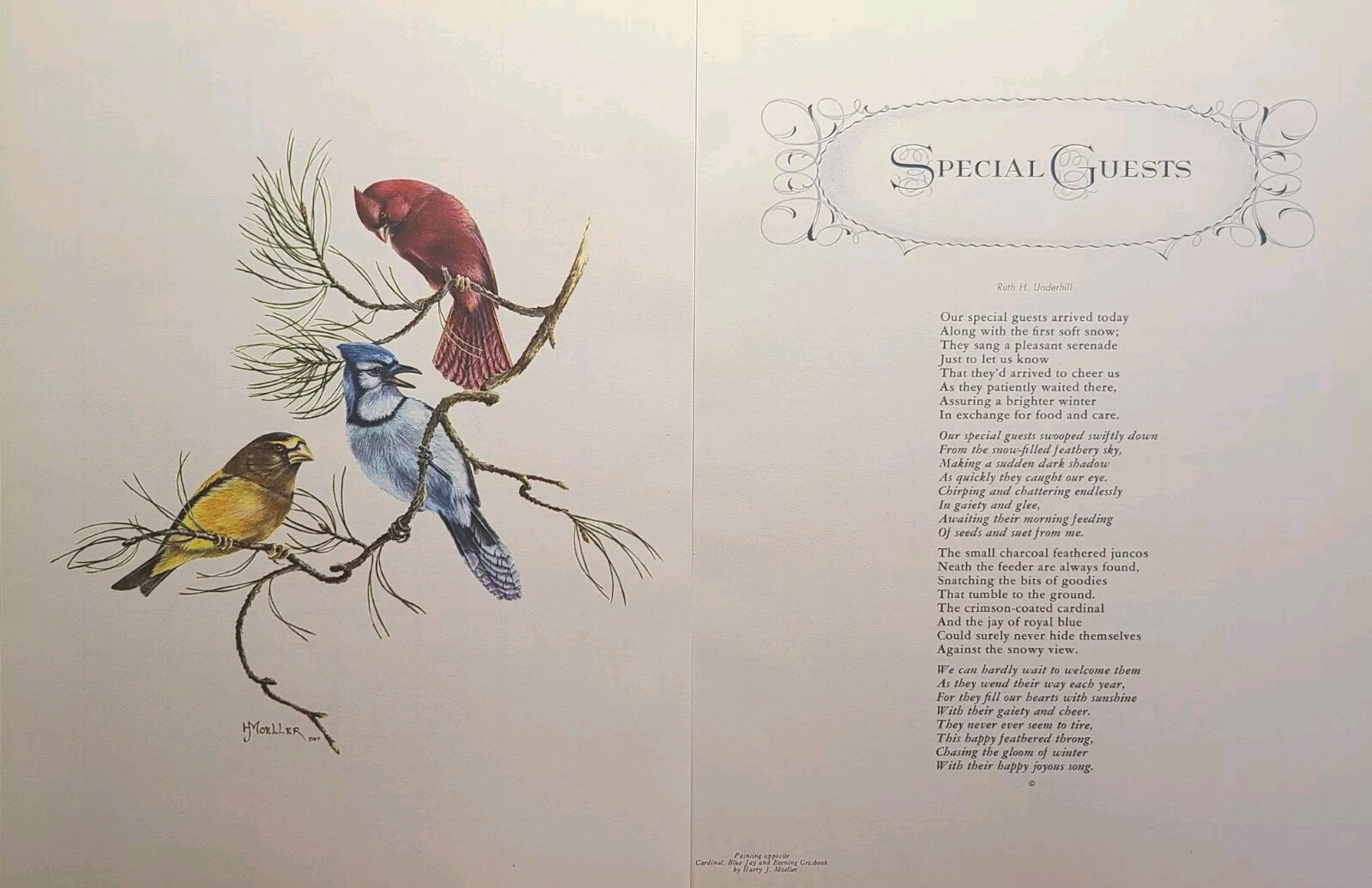 Birds Print Special Guests Poem Cardinal Jay Winter Vintage Magazine Print 1969