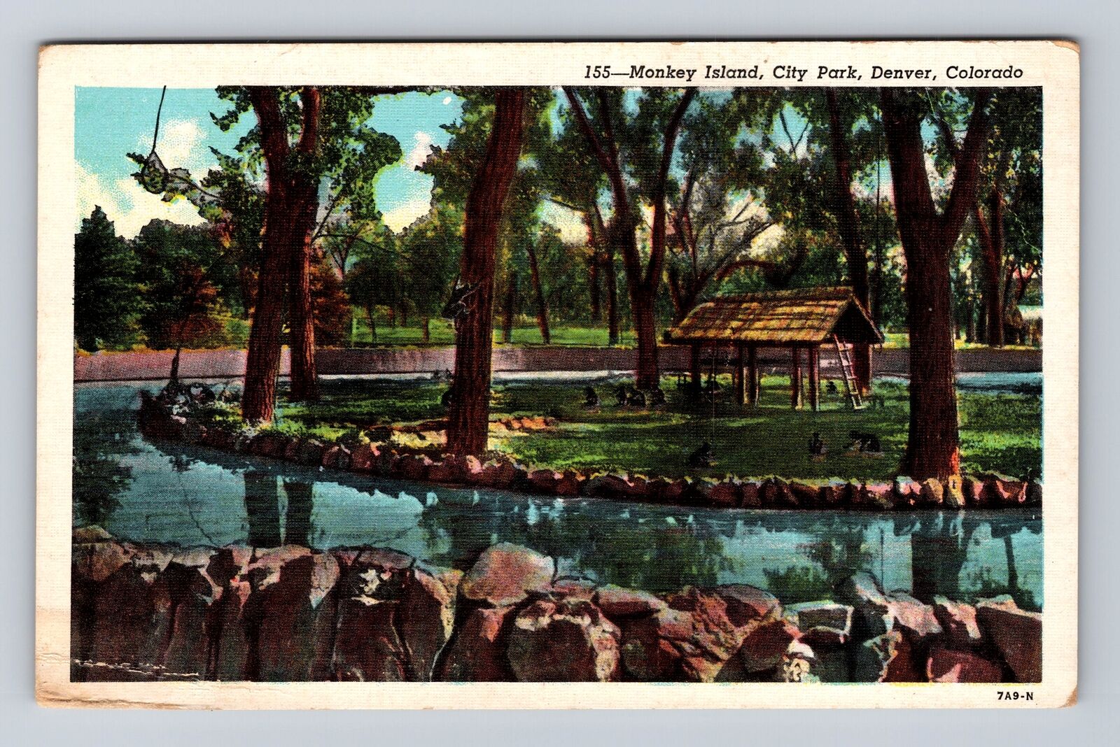Denver CO- Colorado, Monkey Island, City Park, Antique, Vintage Postcard