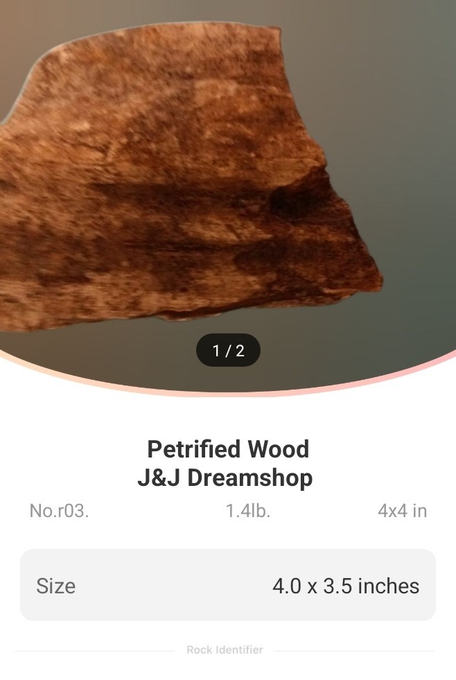 petrafied natural wood tx